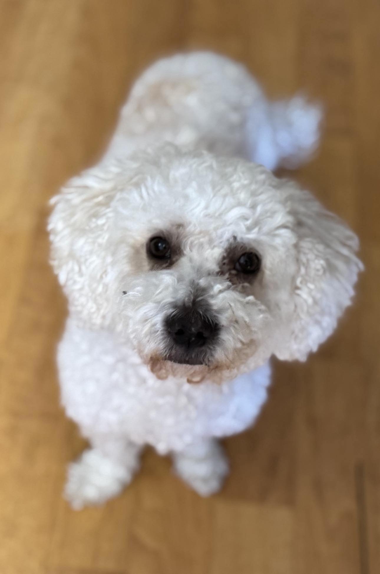 Arlo newest 3.jpg