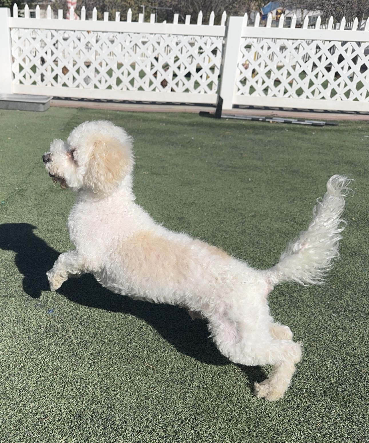 Arlo newest 5.jpg
