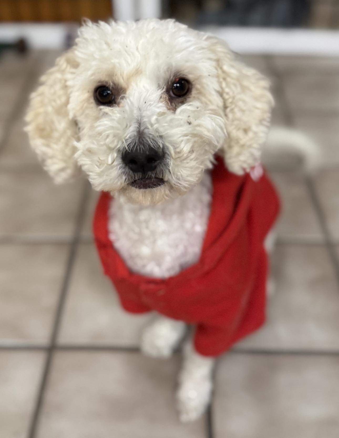 Arlo new.jpg
