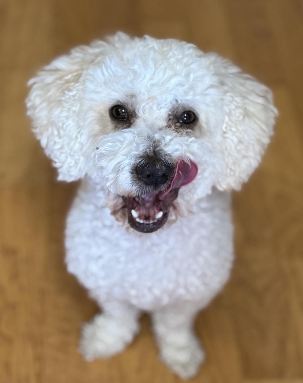 Arlo newest 2.jpg