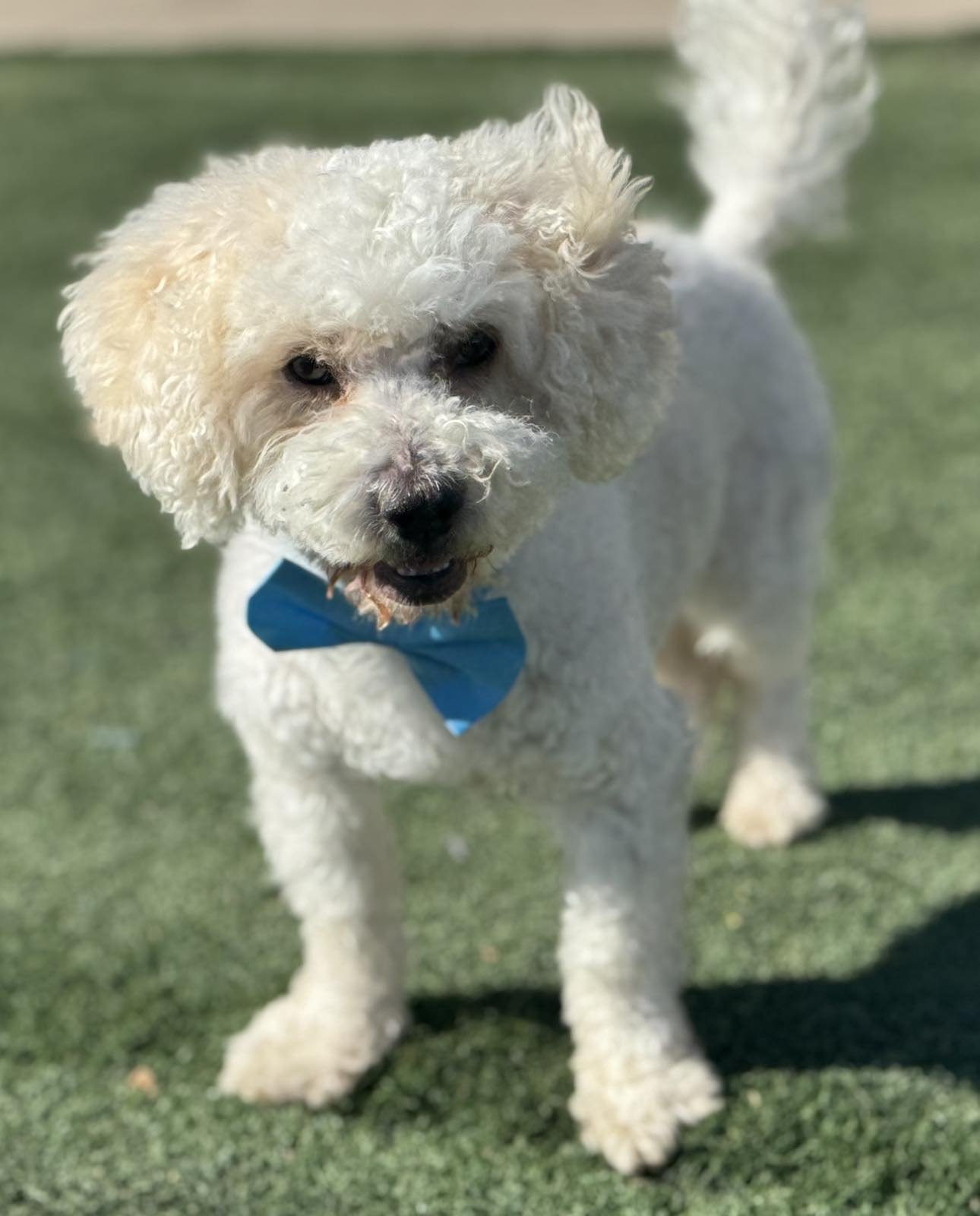 Arlo new profile.jpg