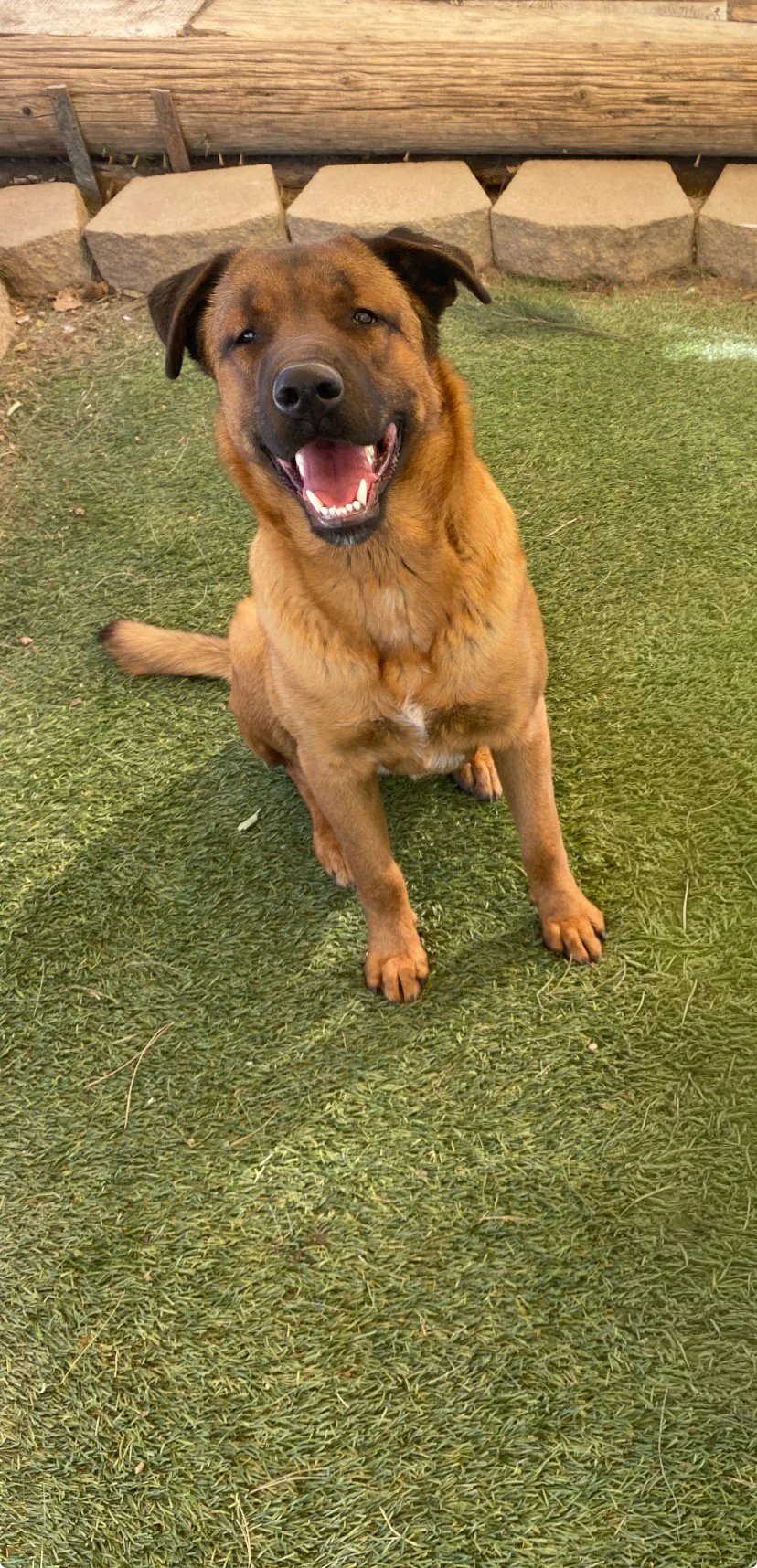 Boone hey you guys.jpg