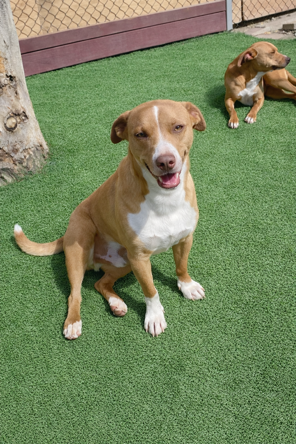 Beck the happy kid.png