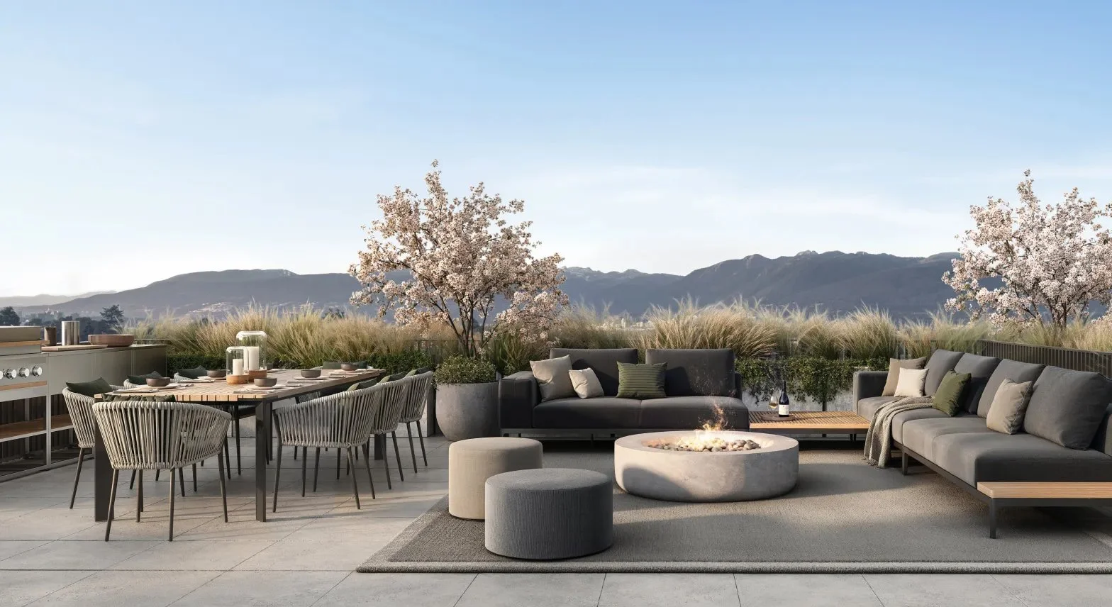 Naimo Rooftop Rendering.jpg