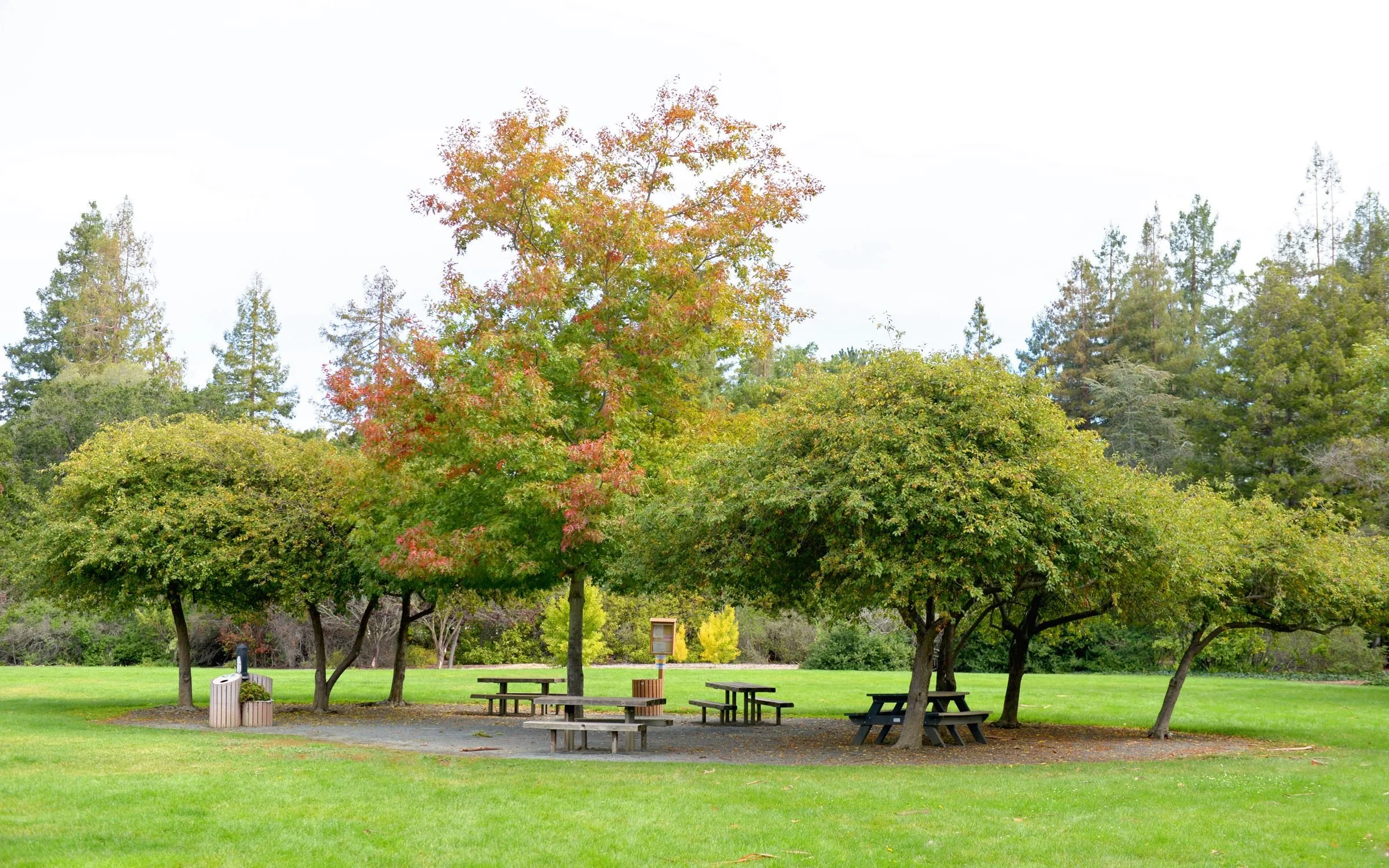 Landscape Drawing for Beginners 