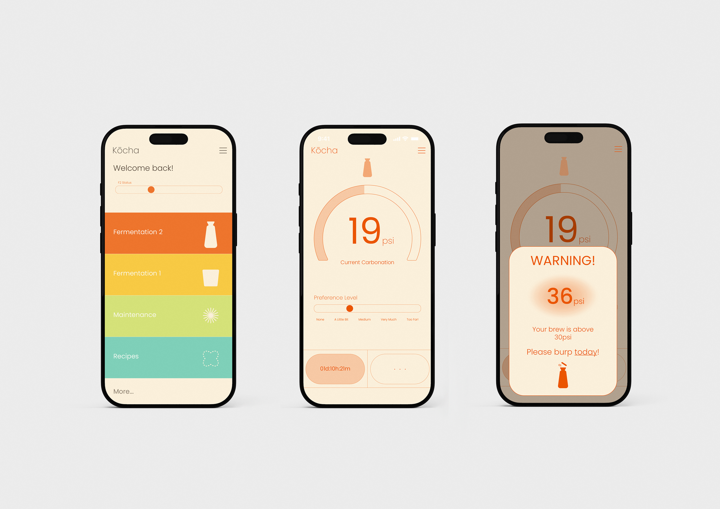 All Mockups.png