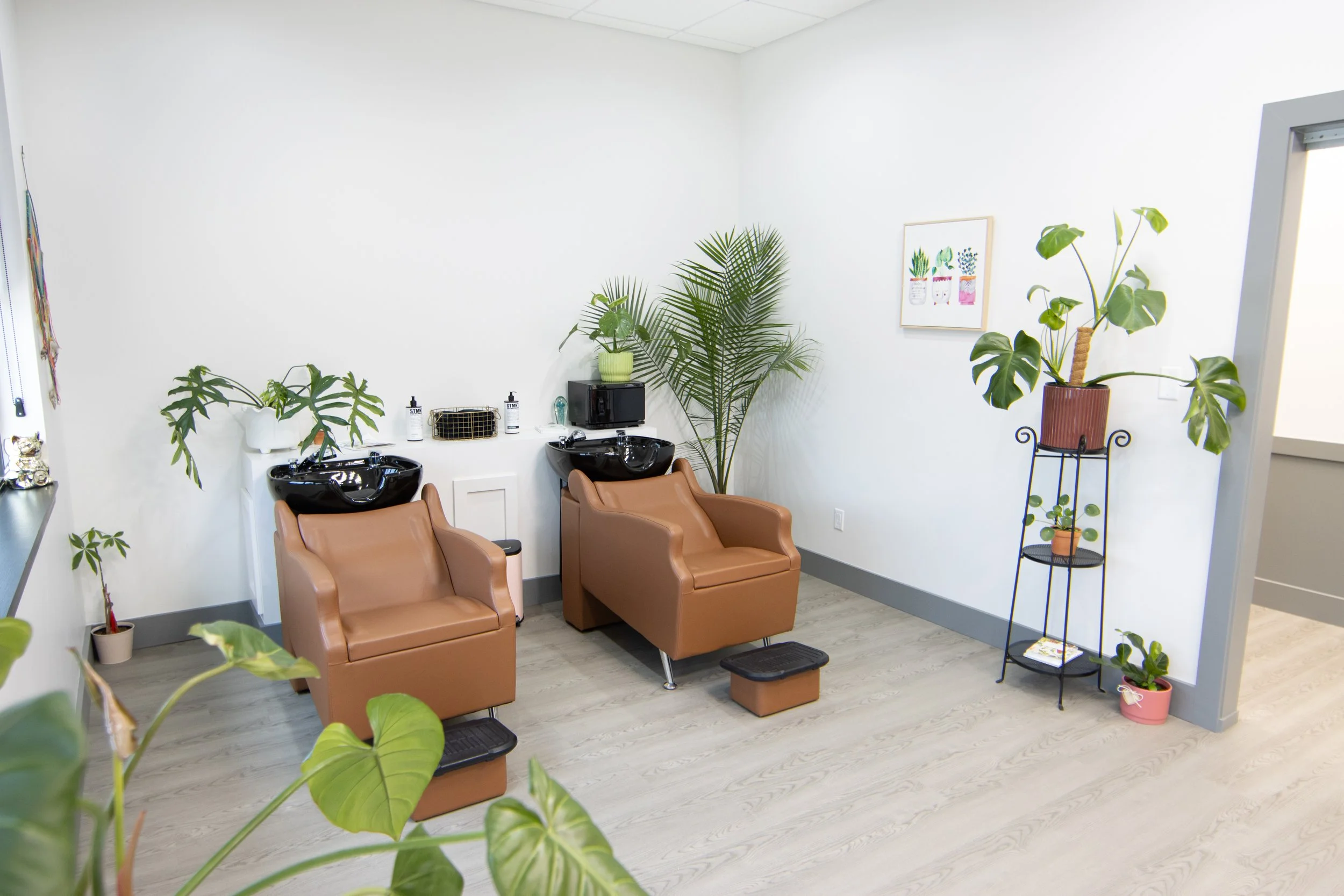 January Is the Moment to Own Your Career: A Year-Long Plan for Salon Suite Success