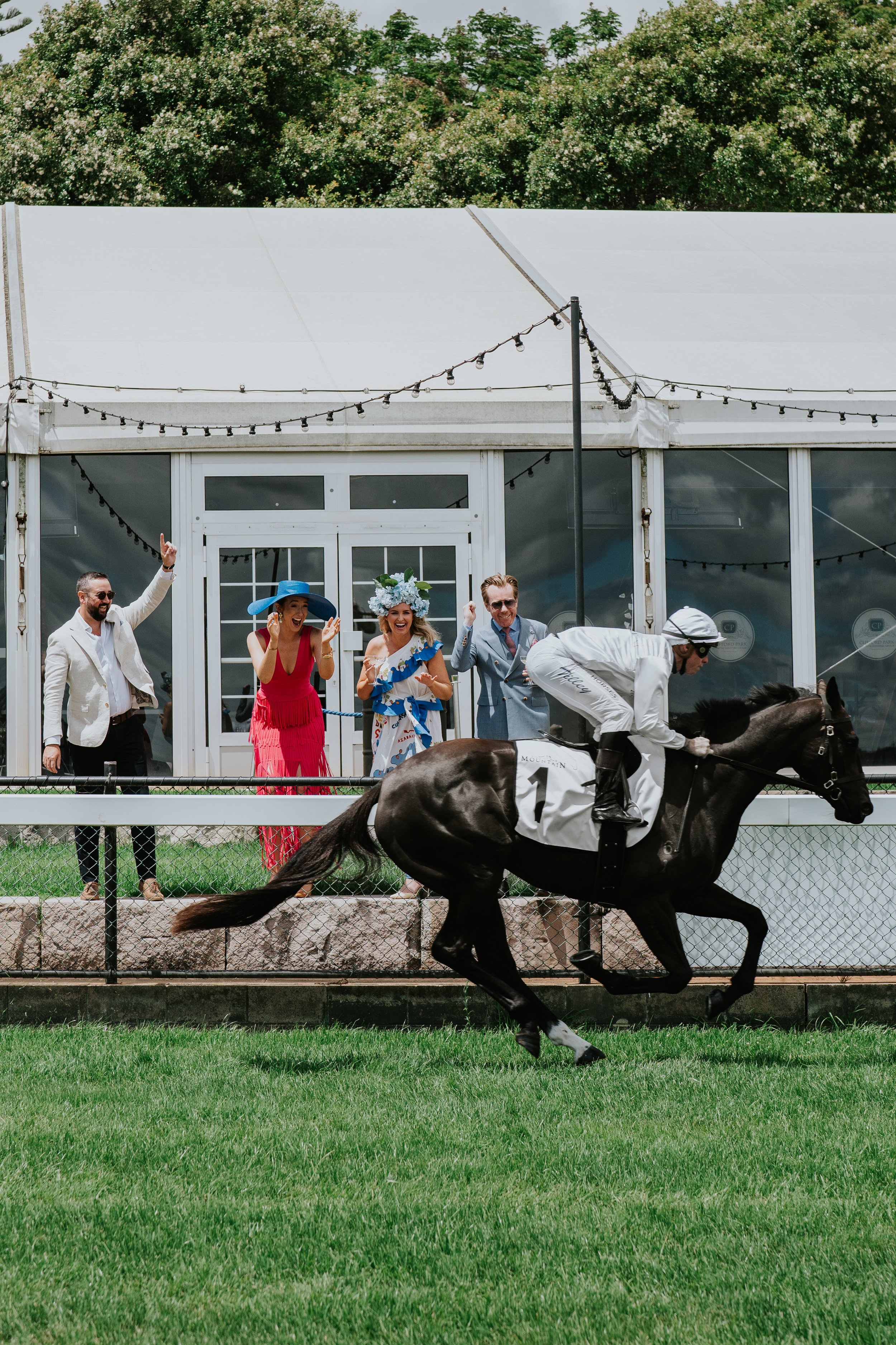 Horse racing scene with a jockey in a white uniform riding a black horse labeled with number one. Four people in colorful attire excitedly watching the race behind a fence near a white tent with greenery in the background.