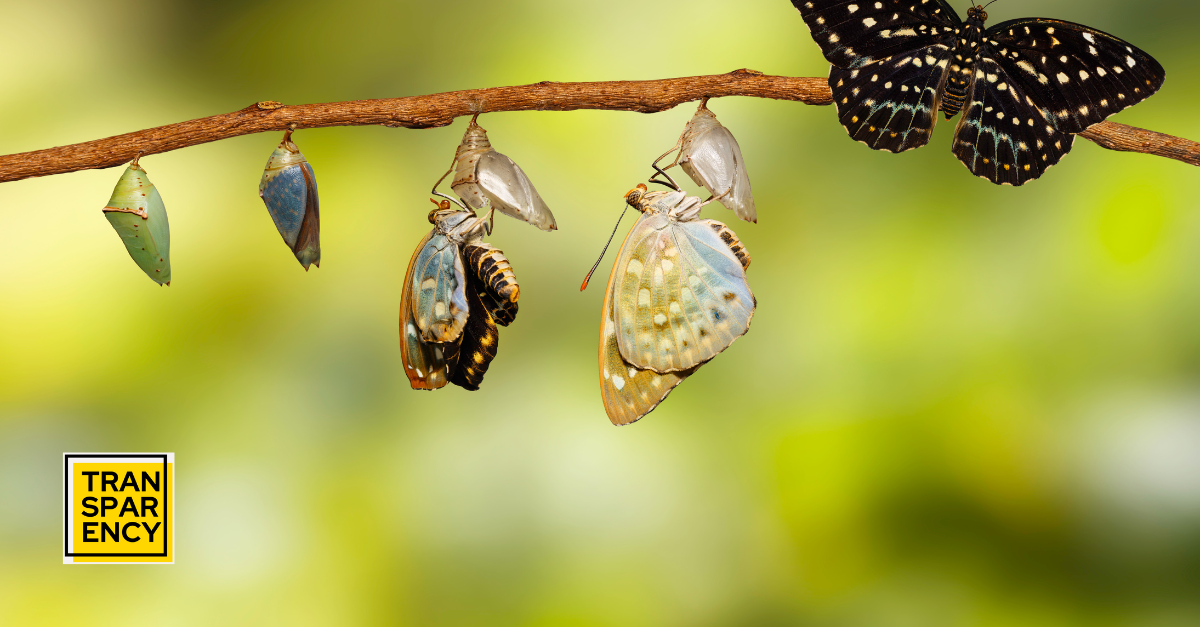Transformative Travel: Change Happens Inside You, Not in the Destination