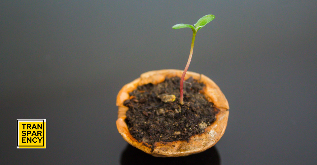Sustainability in a Nutshell
