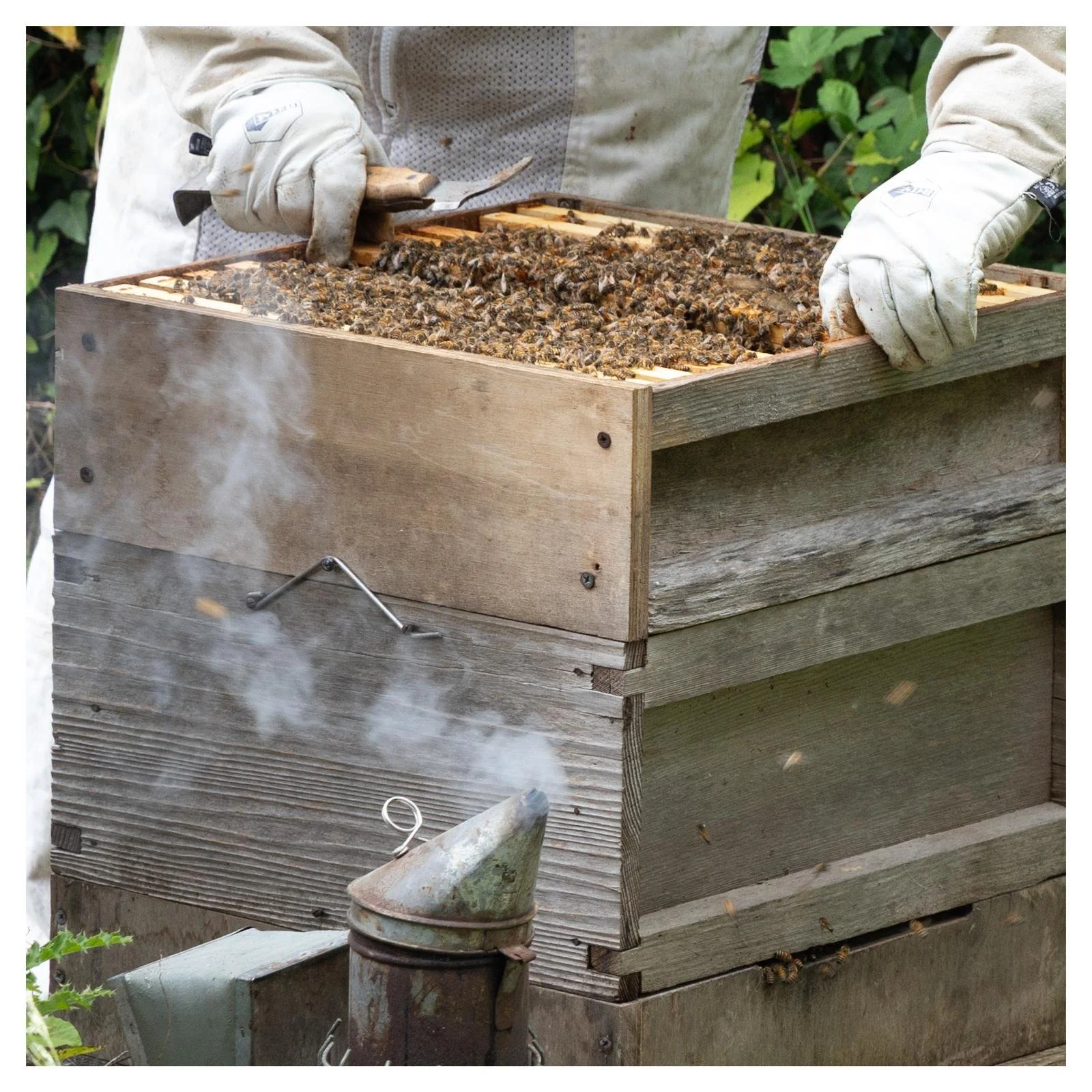 From One-off to Narrative