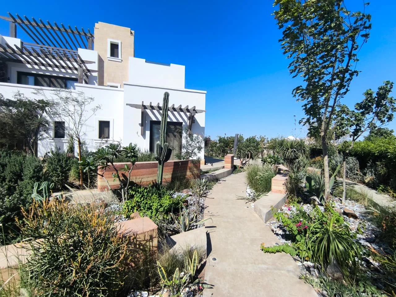 WhatsApp Image 2025-09-22 at 14.16.01_b5896bb4.jpg