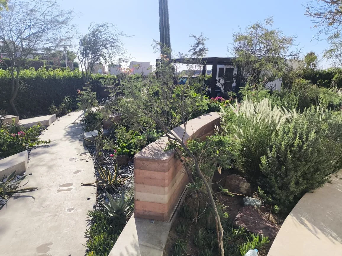 WhatsApp Image 2025-09-22 at 14.15.58_b5e1bbe7.jpg