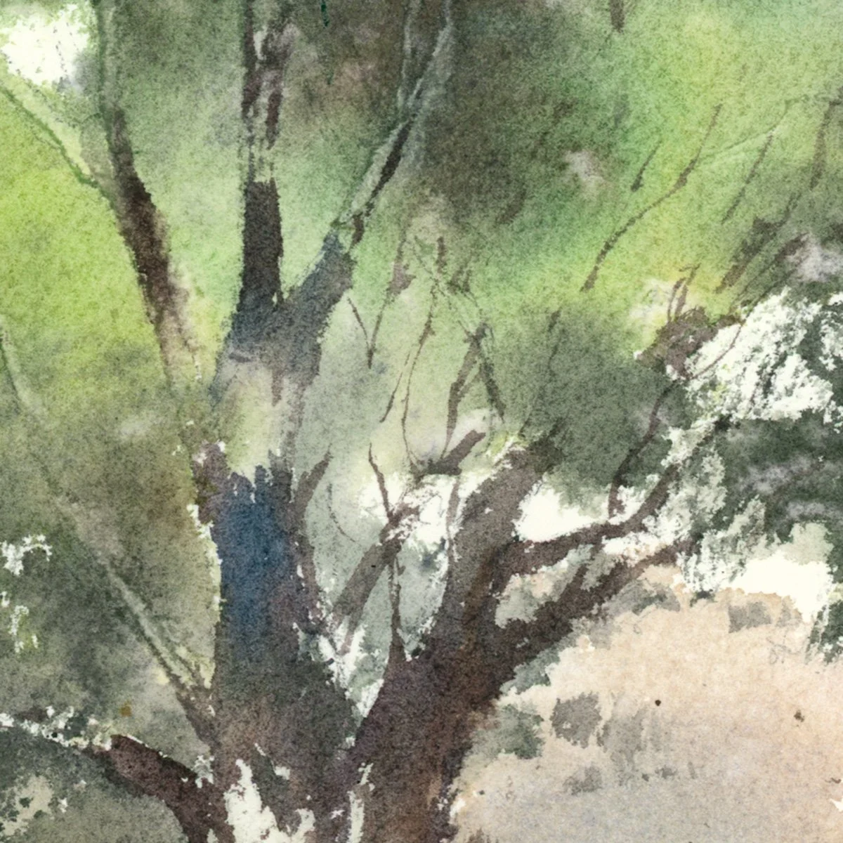 052 Forest, detail 2.jpg