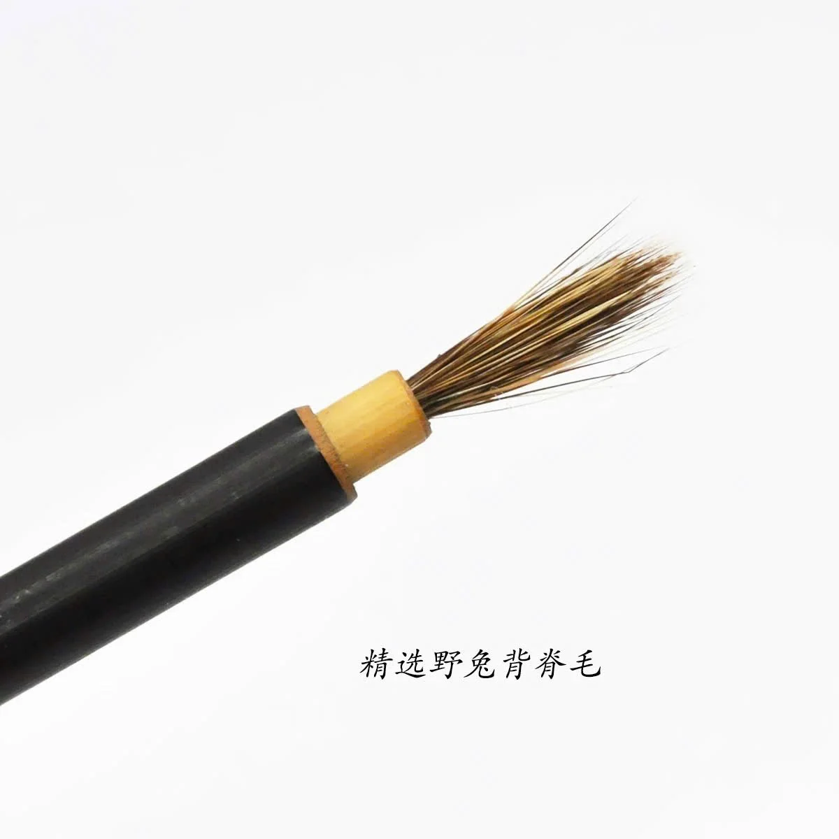 Liner Mini 05.jpg