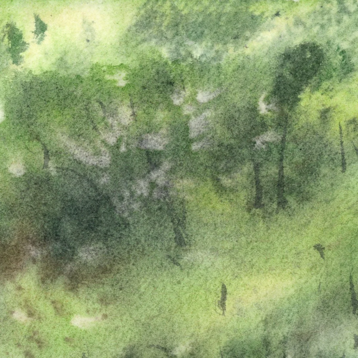 052 Forest, detail 3.jpg