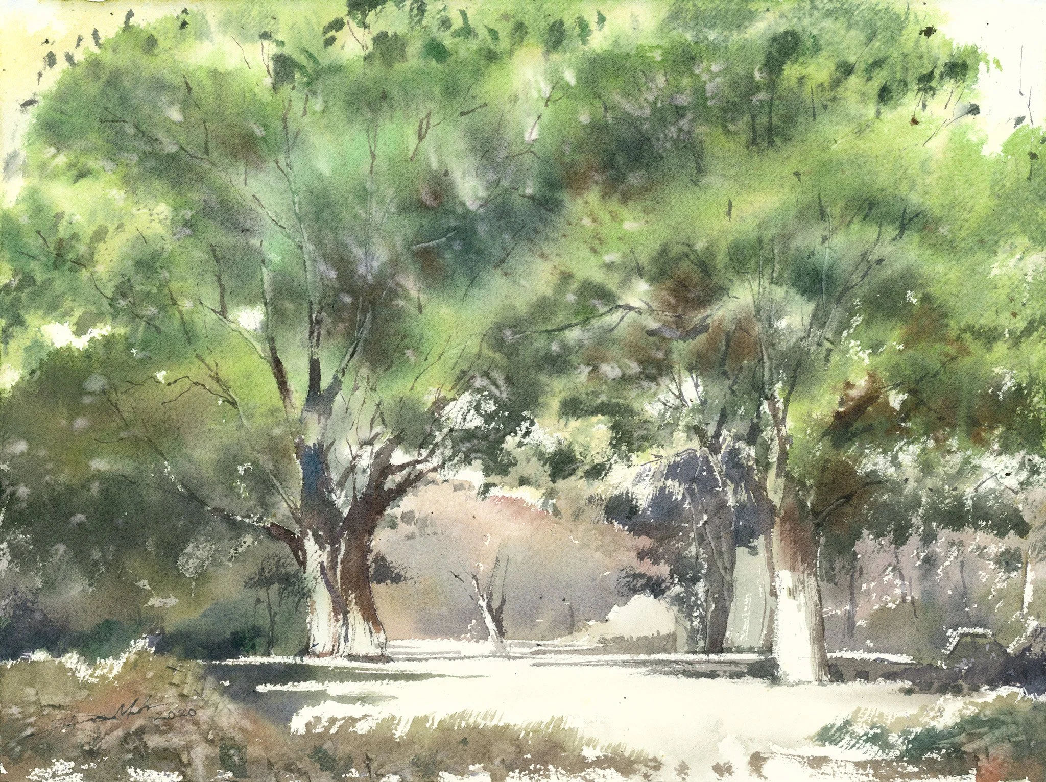 052 Forest, 28x38cm, 2020.jpg