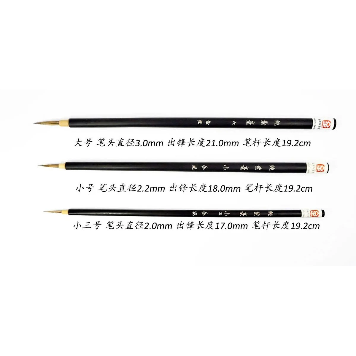 Liner Mini 02.jpg