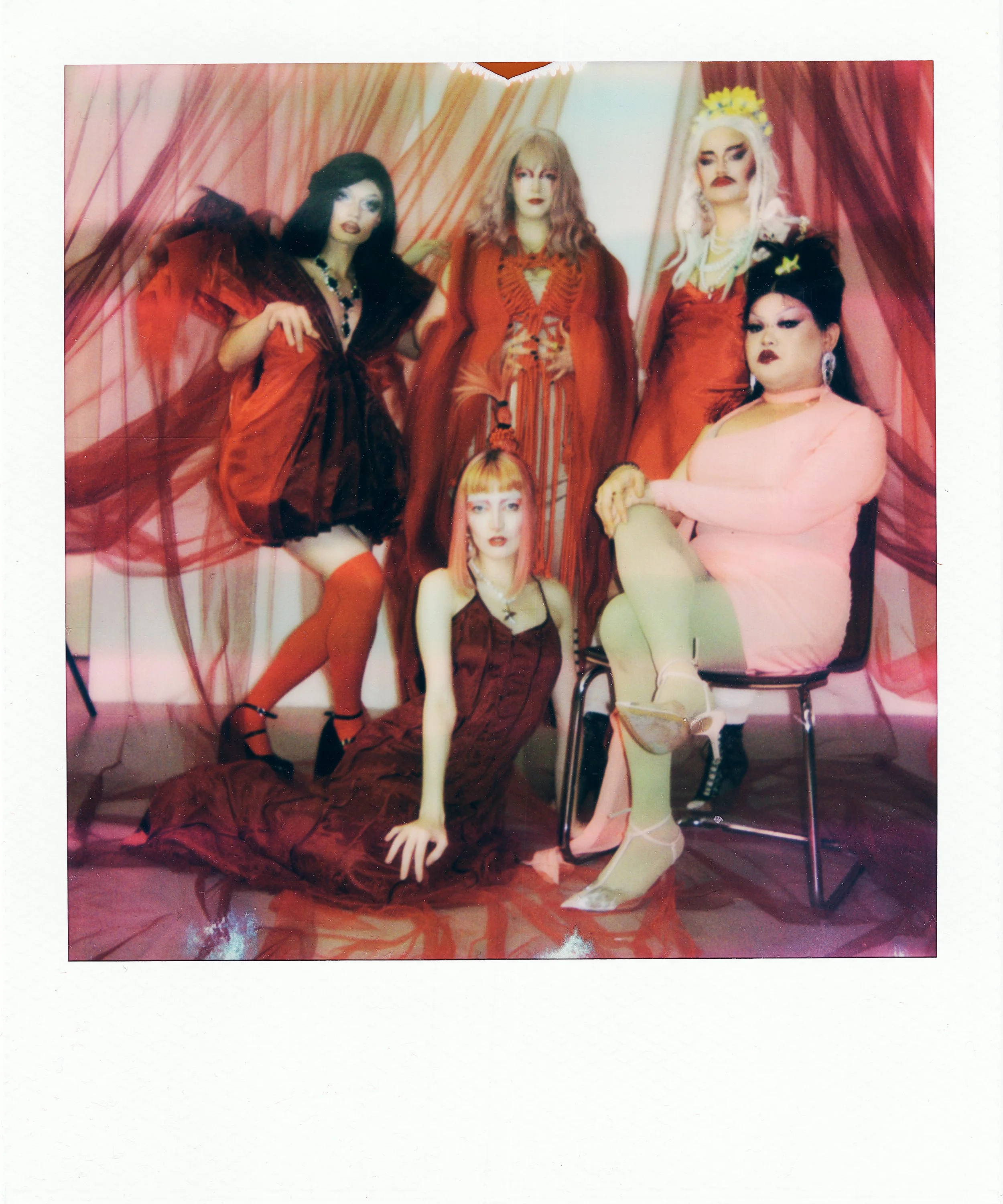 Polaroid.jpg