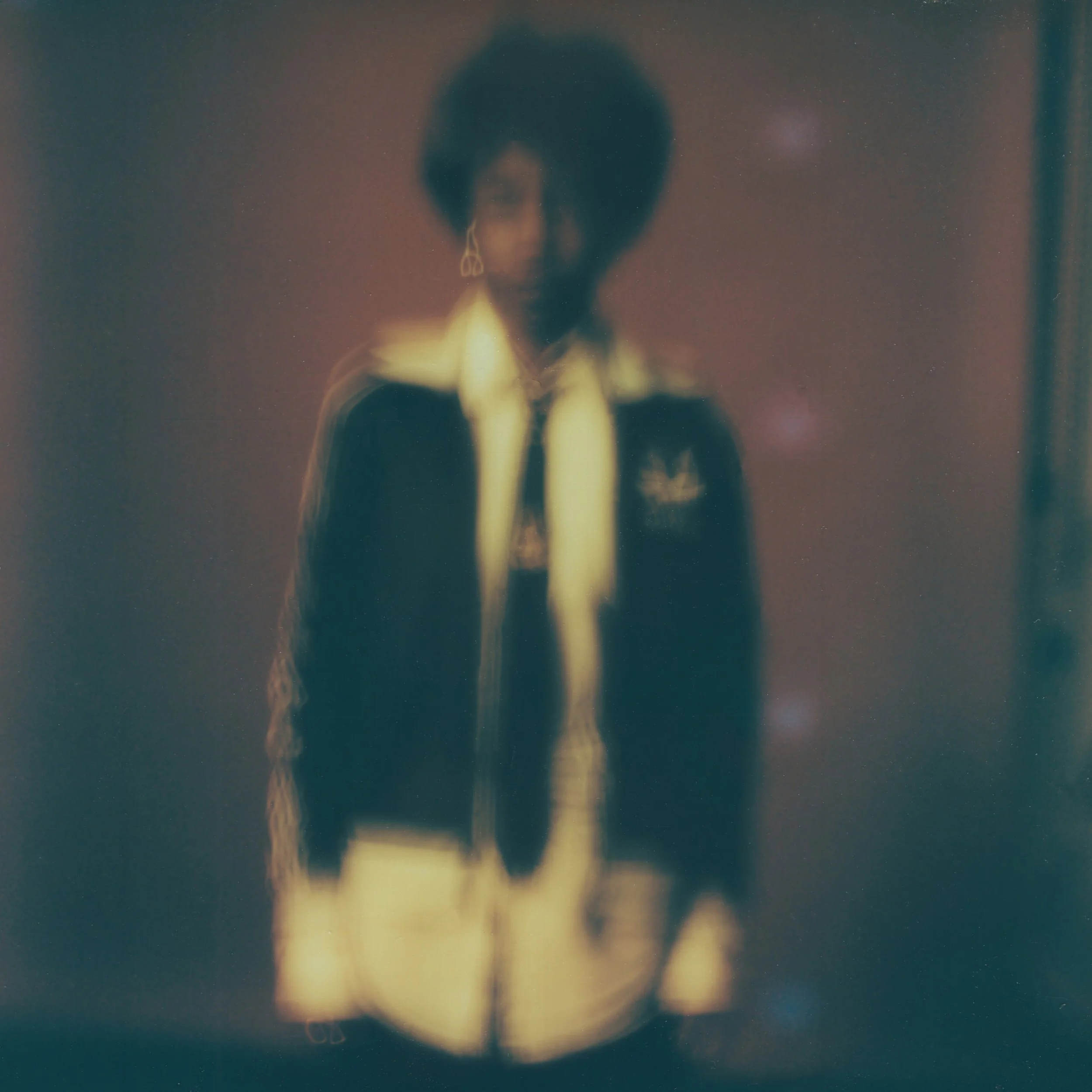 Pressed006_Pola.jpg