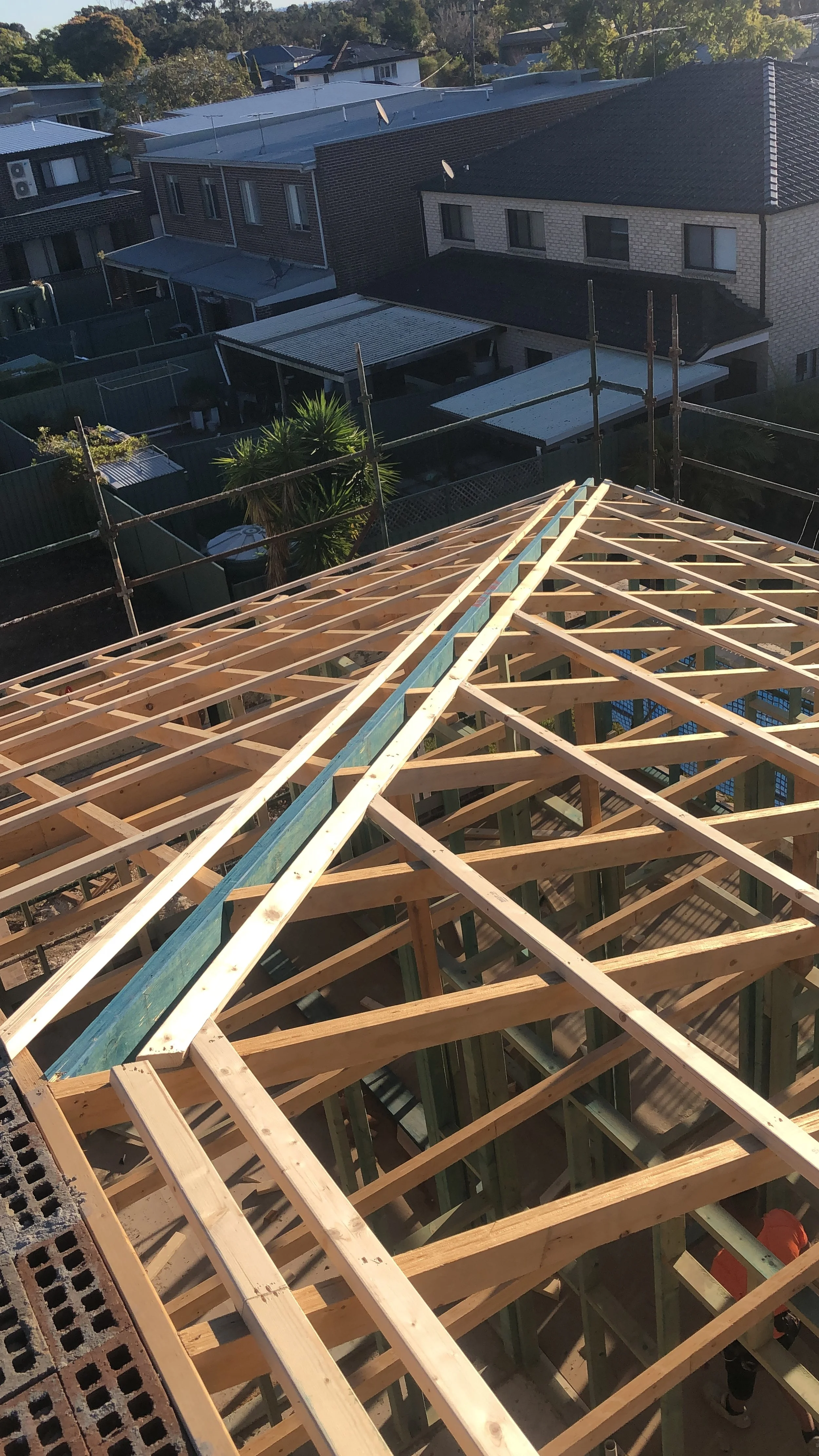 D5C4BB88-0FDB-480C-9C93-055EE0EA3CCE Simon Bou Sanayeh.jpeg