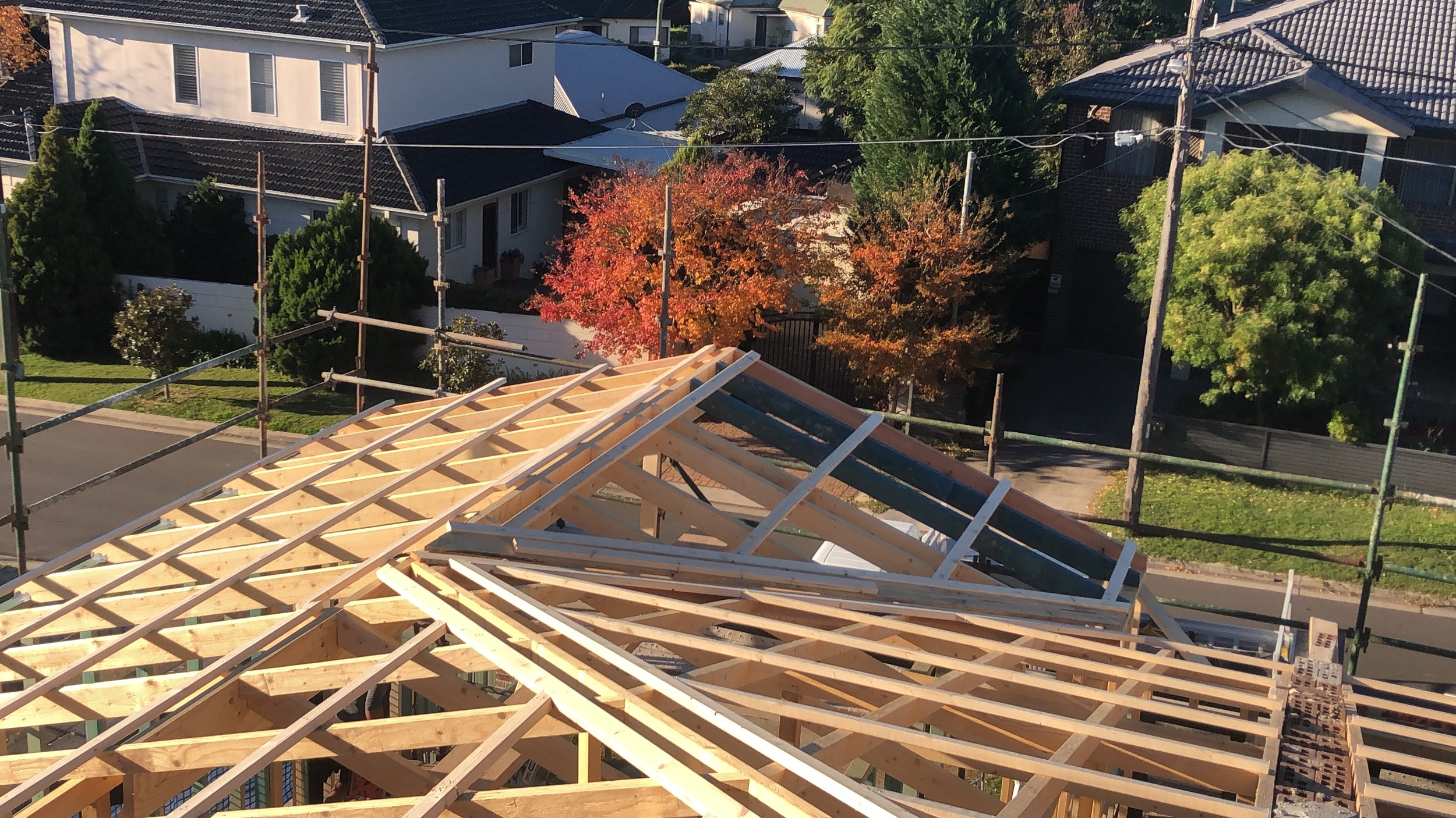 D703F226-2559-4A1B-AC00-7CAFC5378033 Simon Bou Sanayeh.jpeg