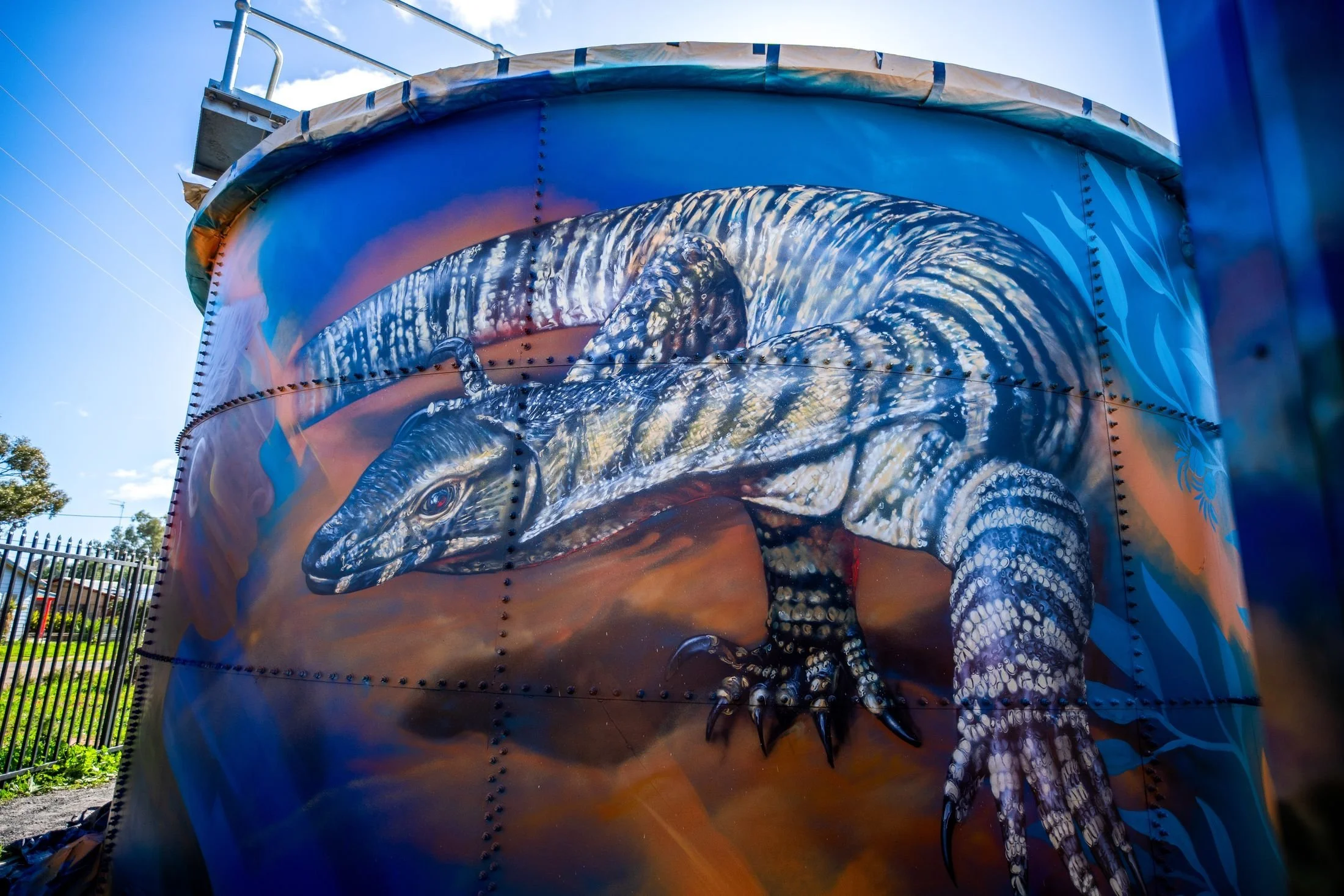 murrin-bridge-14-gallery-goanna.jpg