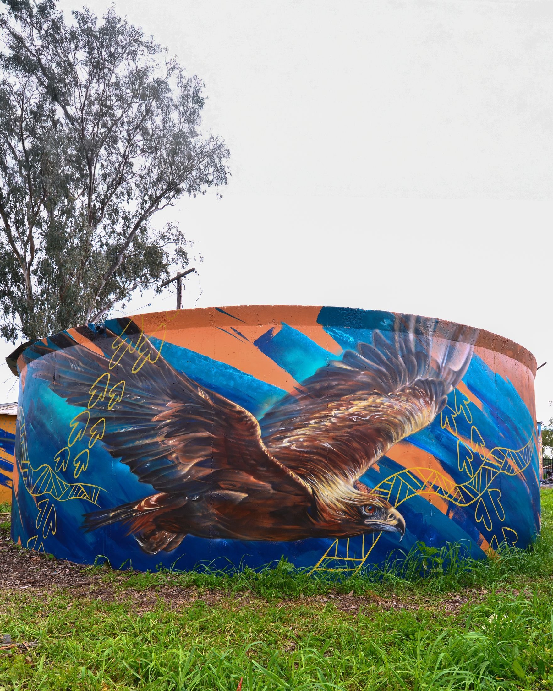 murrin-bridge-15-gallery-eagle.jpg
