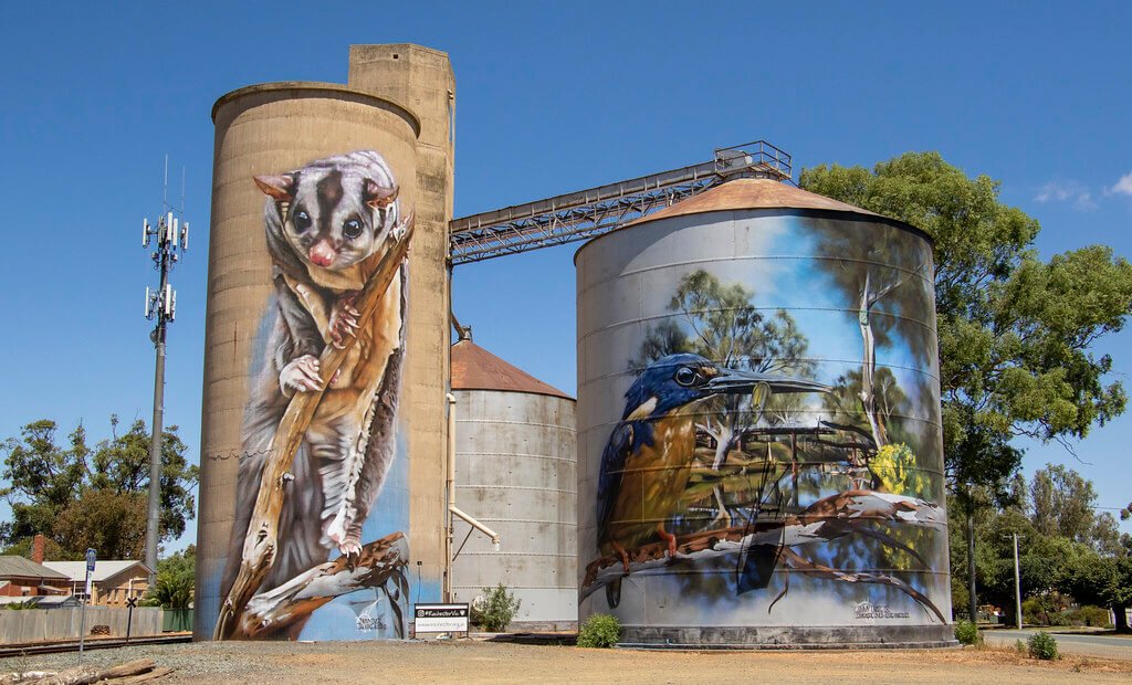 squirrelglider-azurekingfisher-campasperiver-rochester-silo-jimmydvate-2018.jpeg