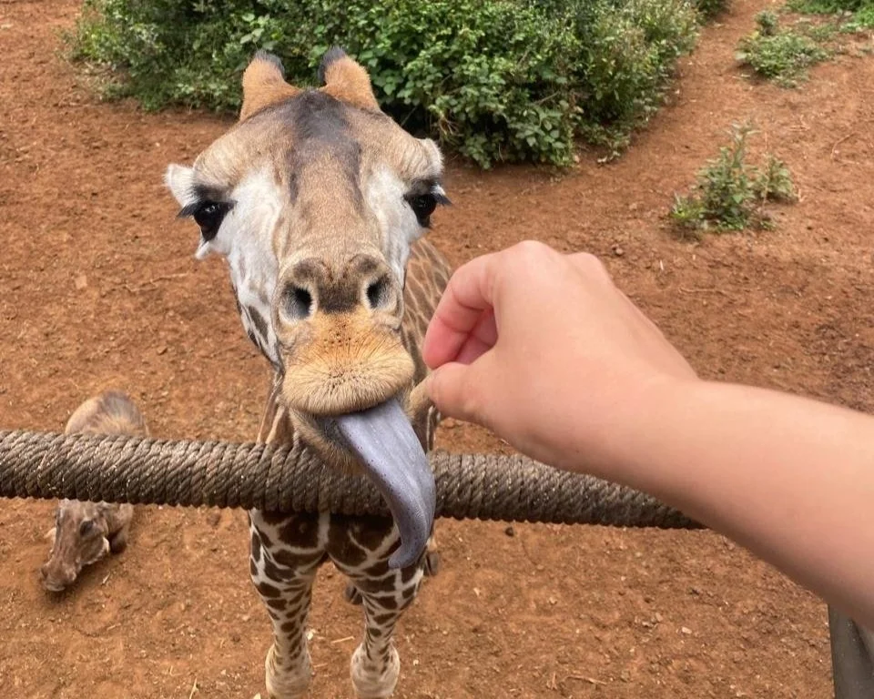 WhatsApp Image 2024-12-10 at 16.06.11.jpg