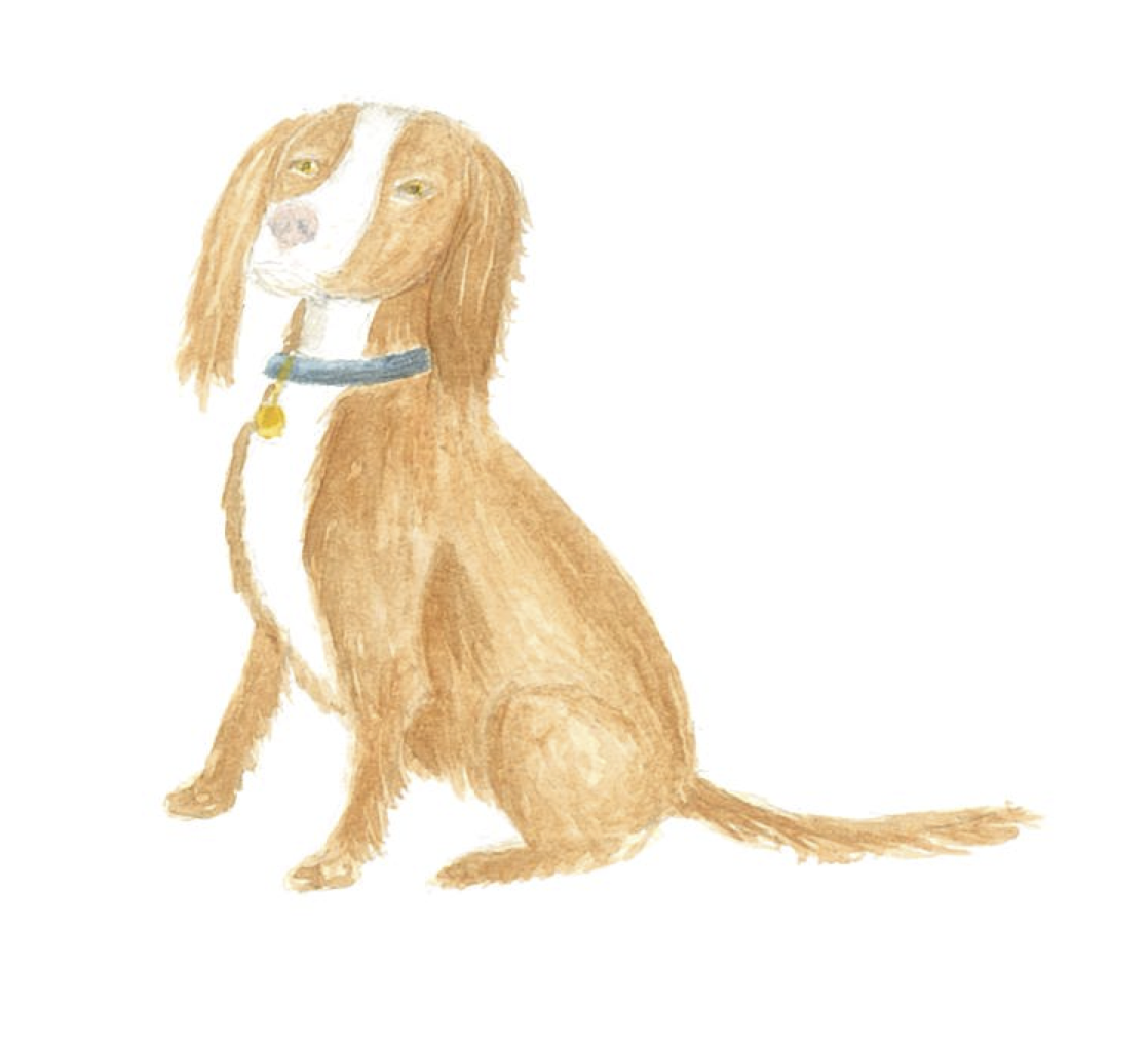 Invite Pictures Updated -Bas.png