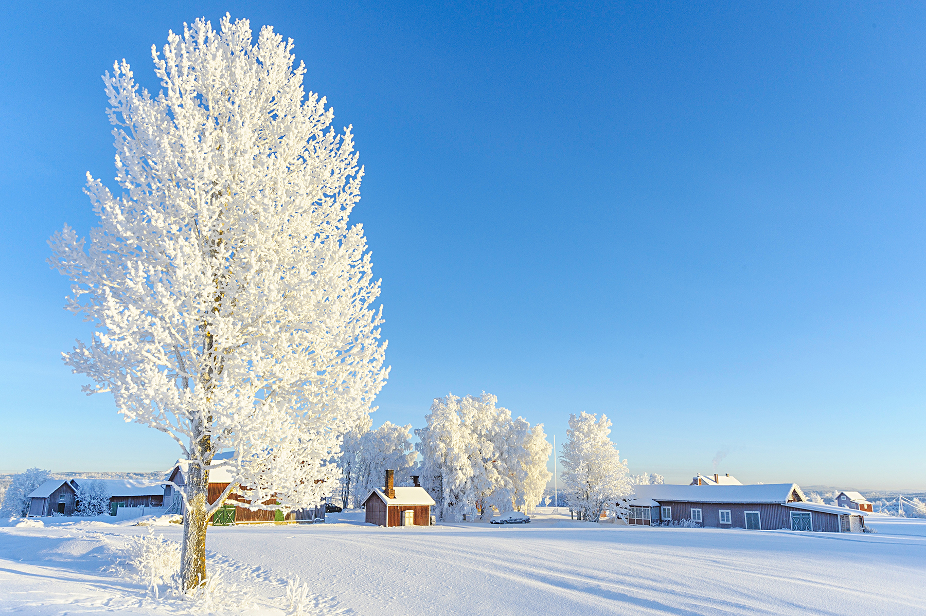 Vålbacken in Jämtland