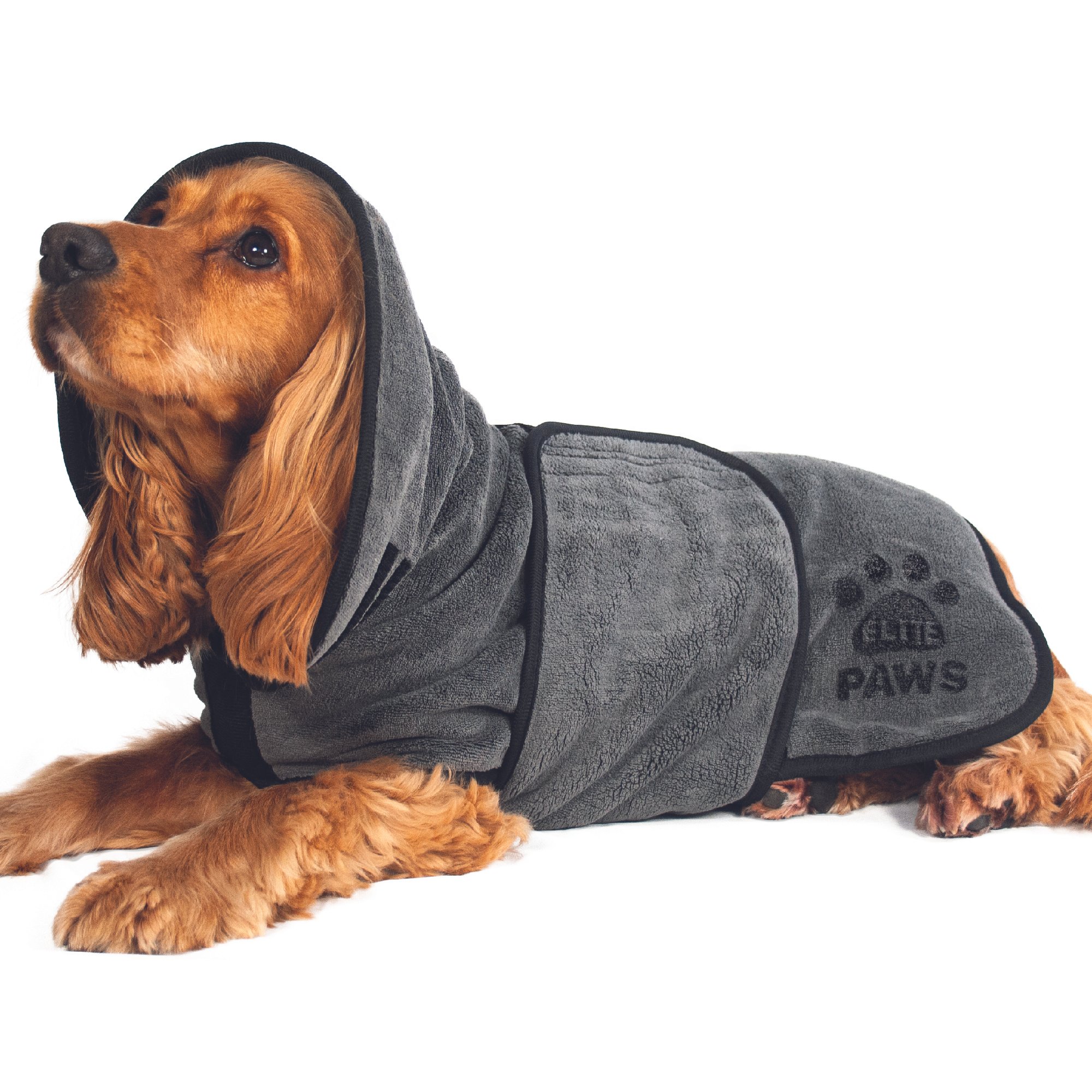 EP_DC_Shopify_Main_Image-01.jpg