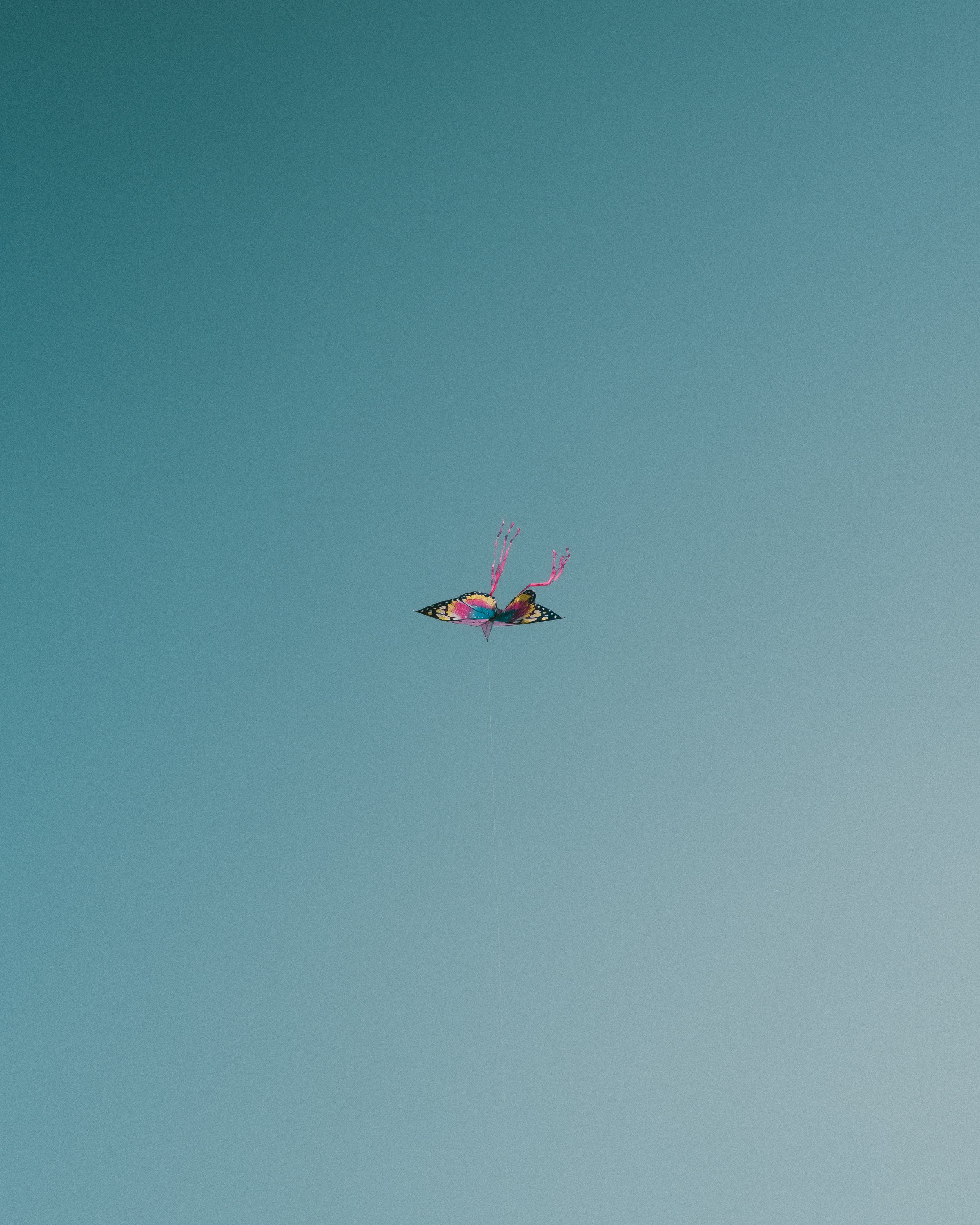 Τα φτερά της πεταλούδας