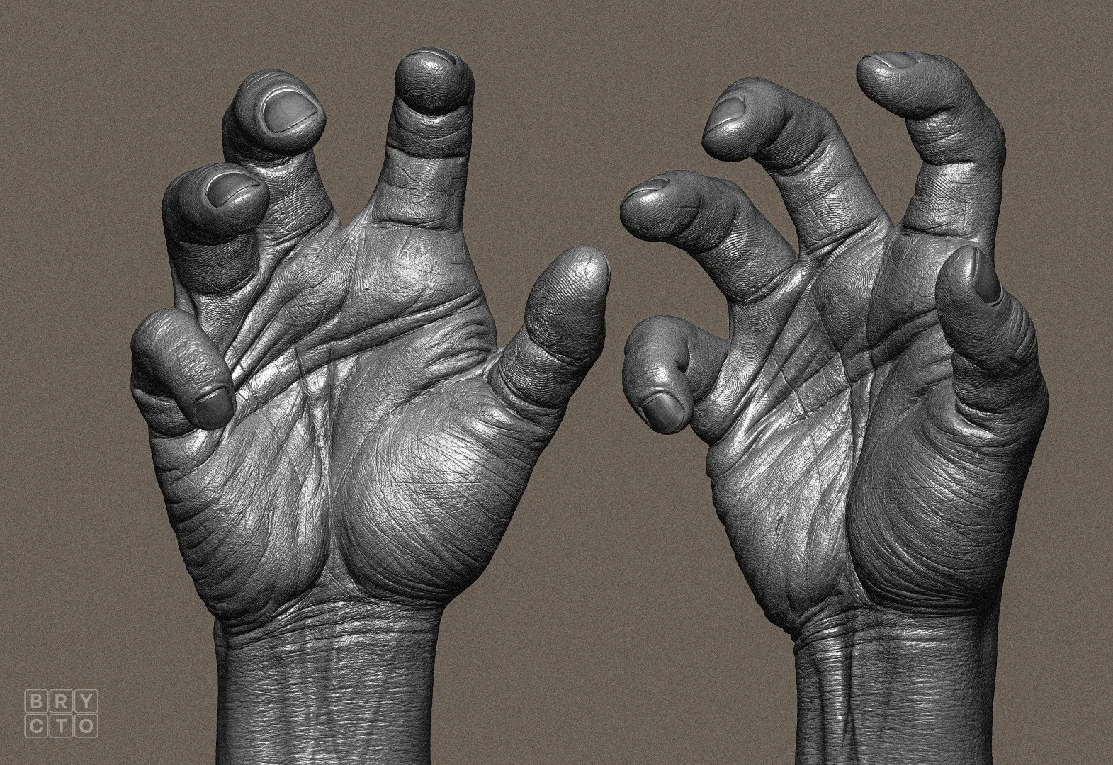 Hand Anatomy — Brycto