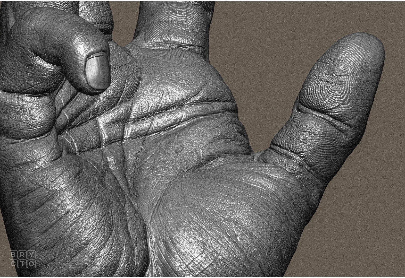 Hand Anatomy — Brycto