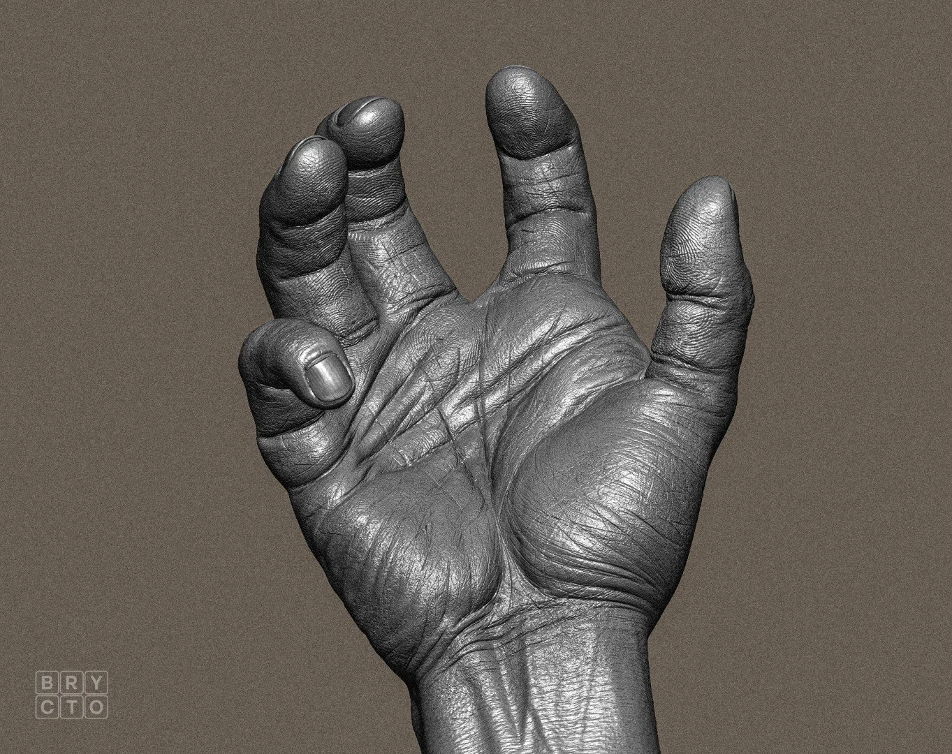 Hand Anatomy — Brycto