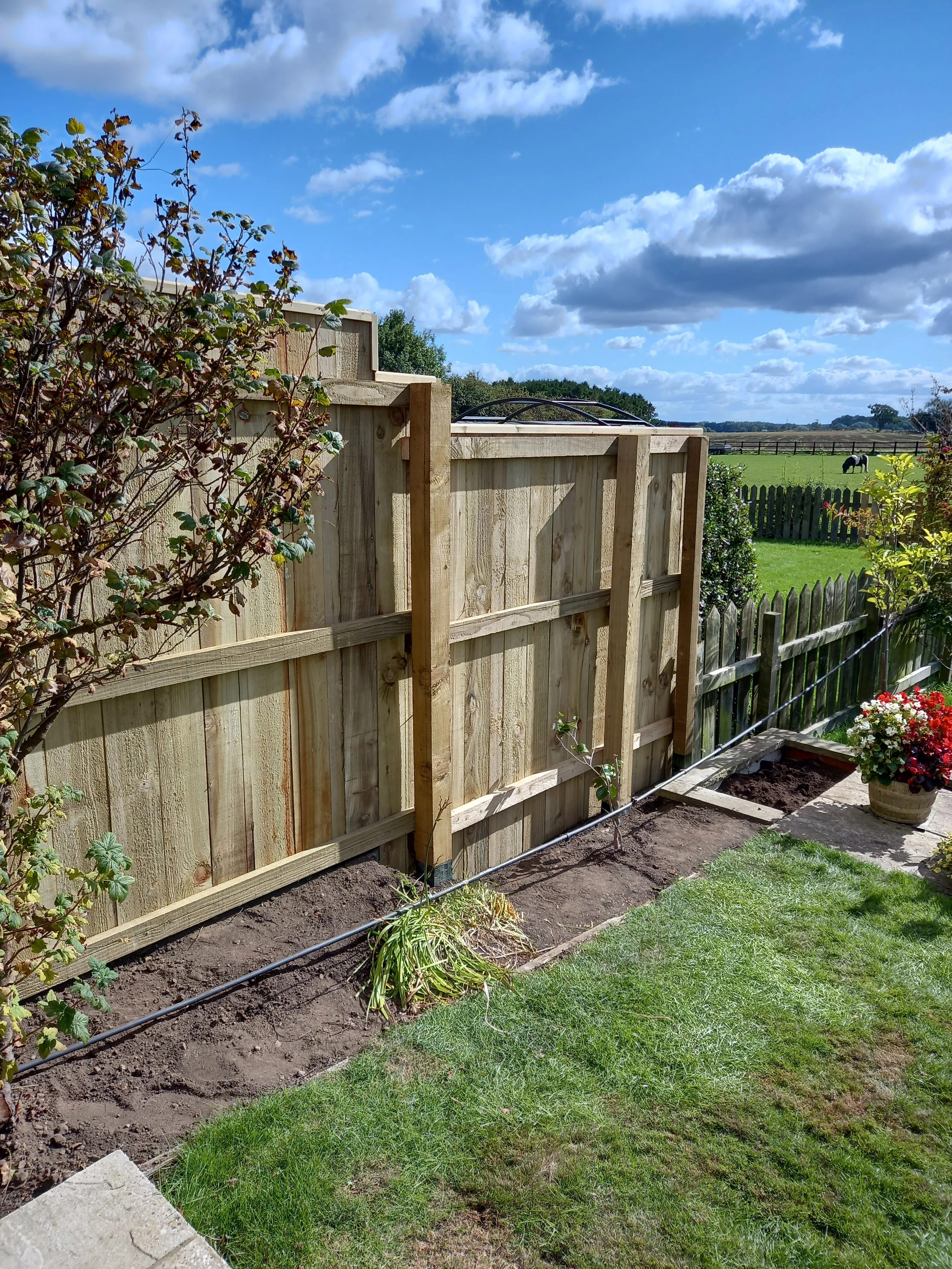 A backyard with a wooden fence under construction, gardening tools, a flower pot, and a horse in the field beyond.