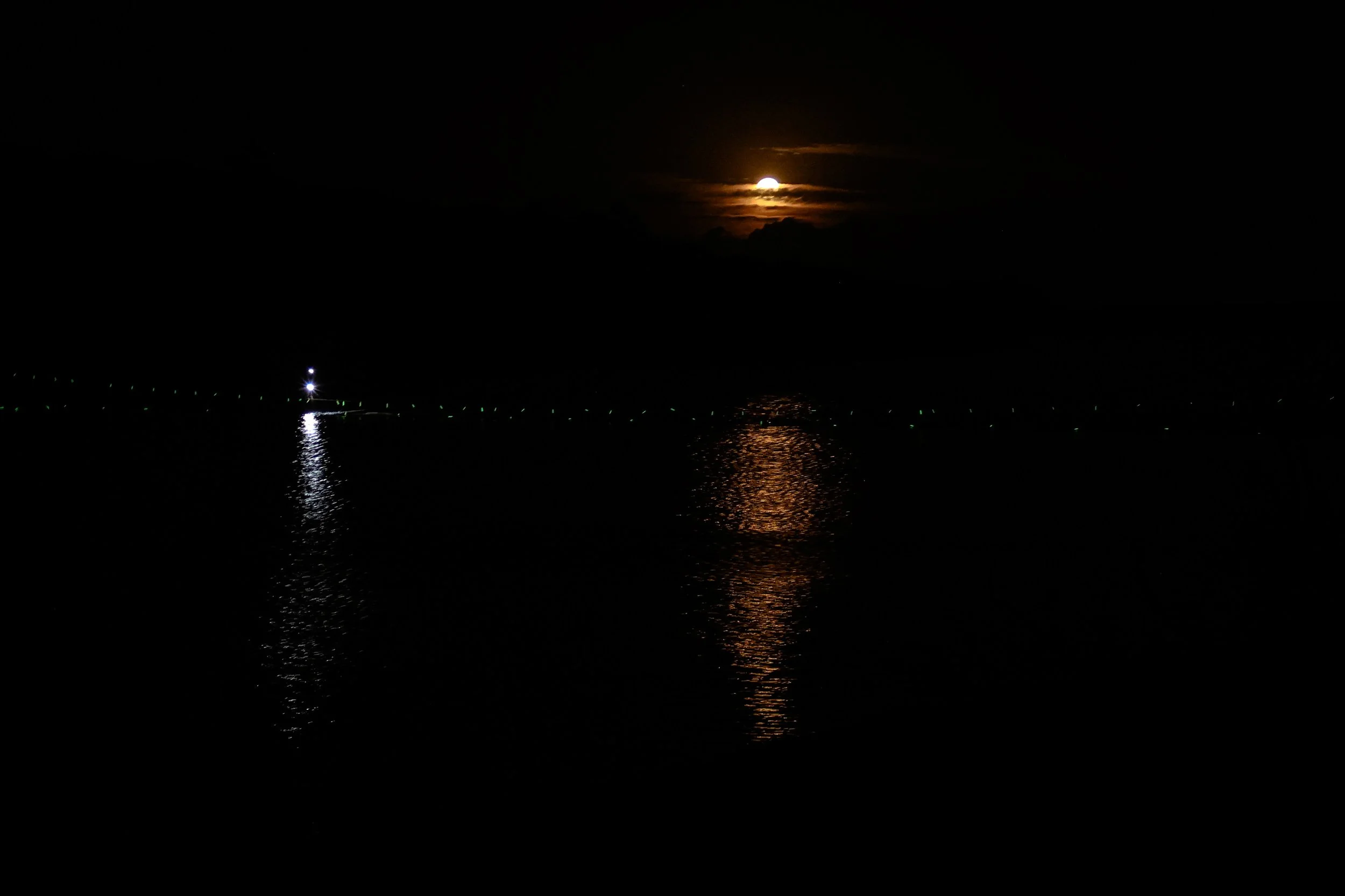 Photo Credit: @stefan_bakkes