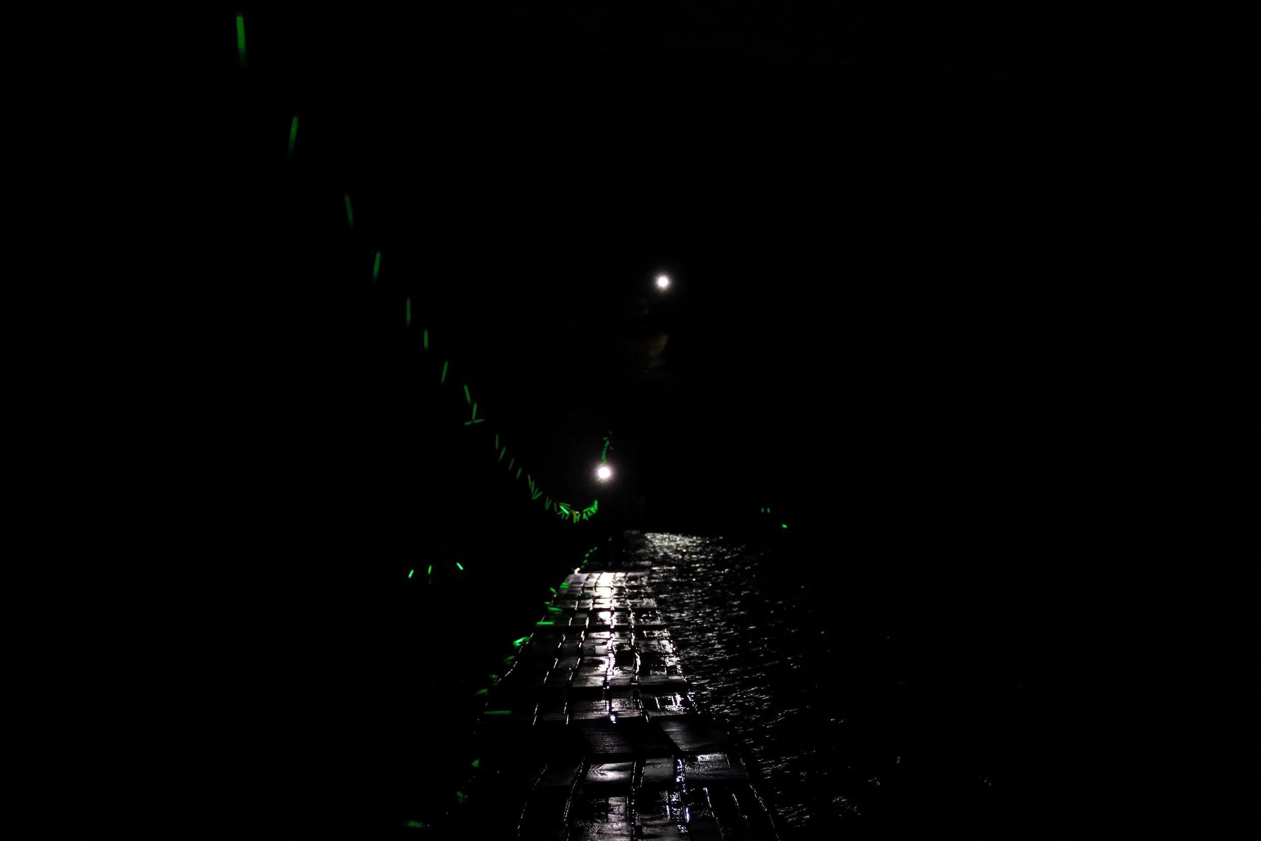 Photo Credit: @stefan_bakkes