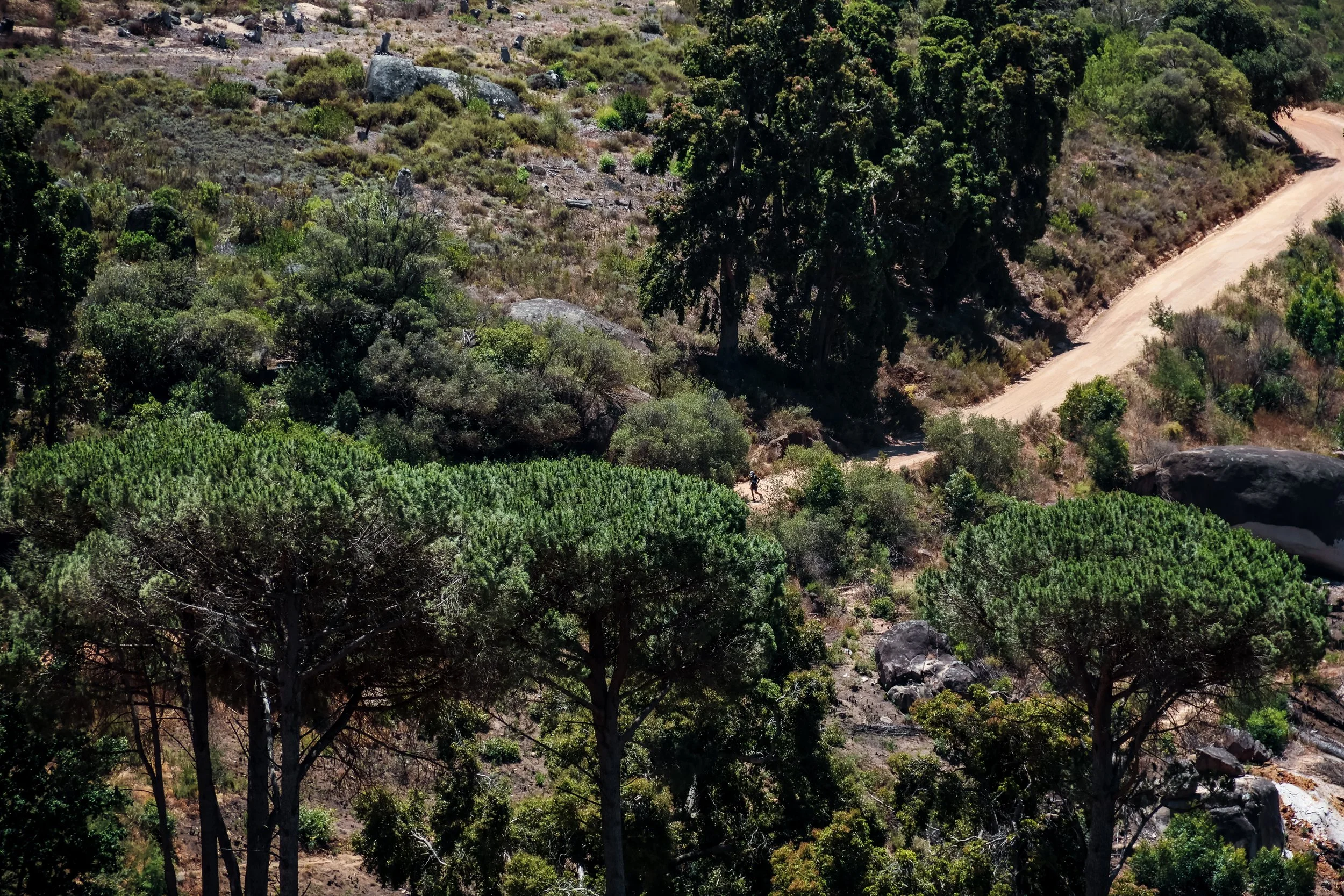 Photo Credit: @stefan_bakkes