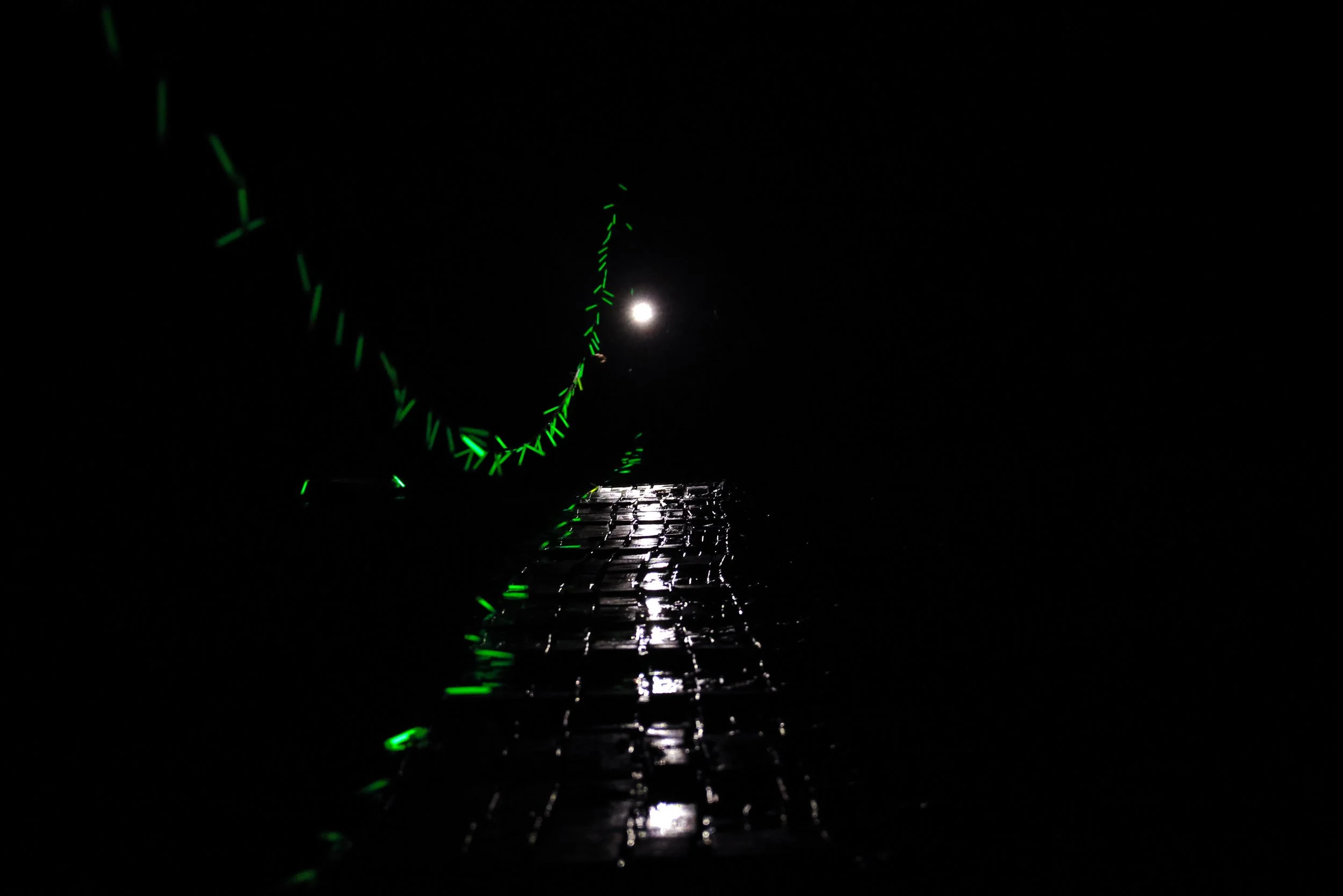 Photo Credit: @stefan_bakkes