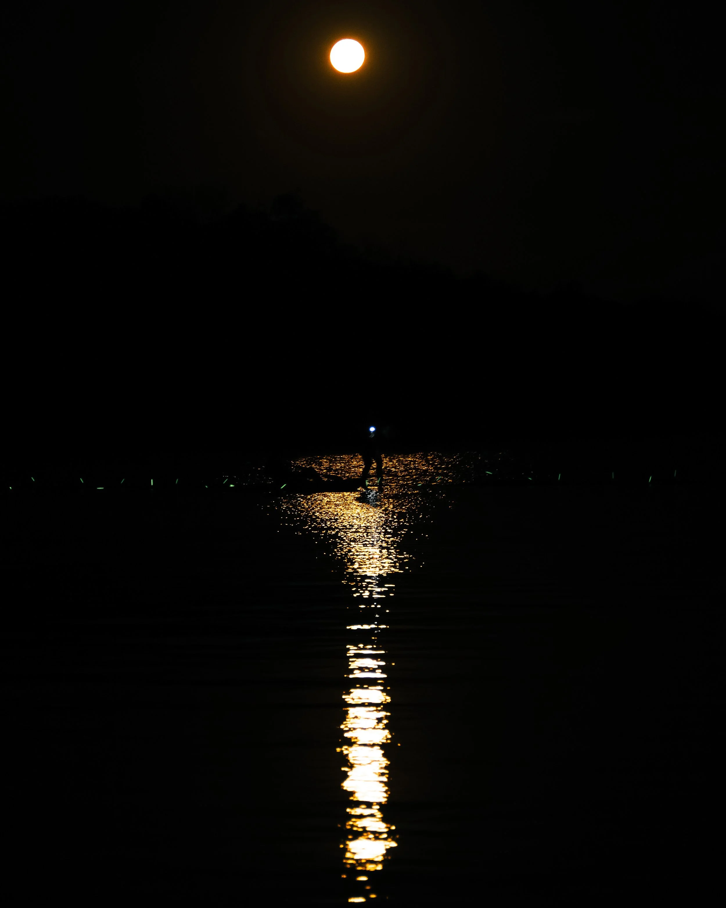 Photo Credit: @stefan_bakkes