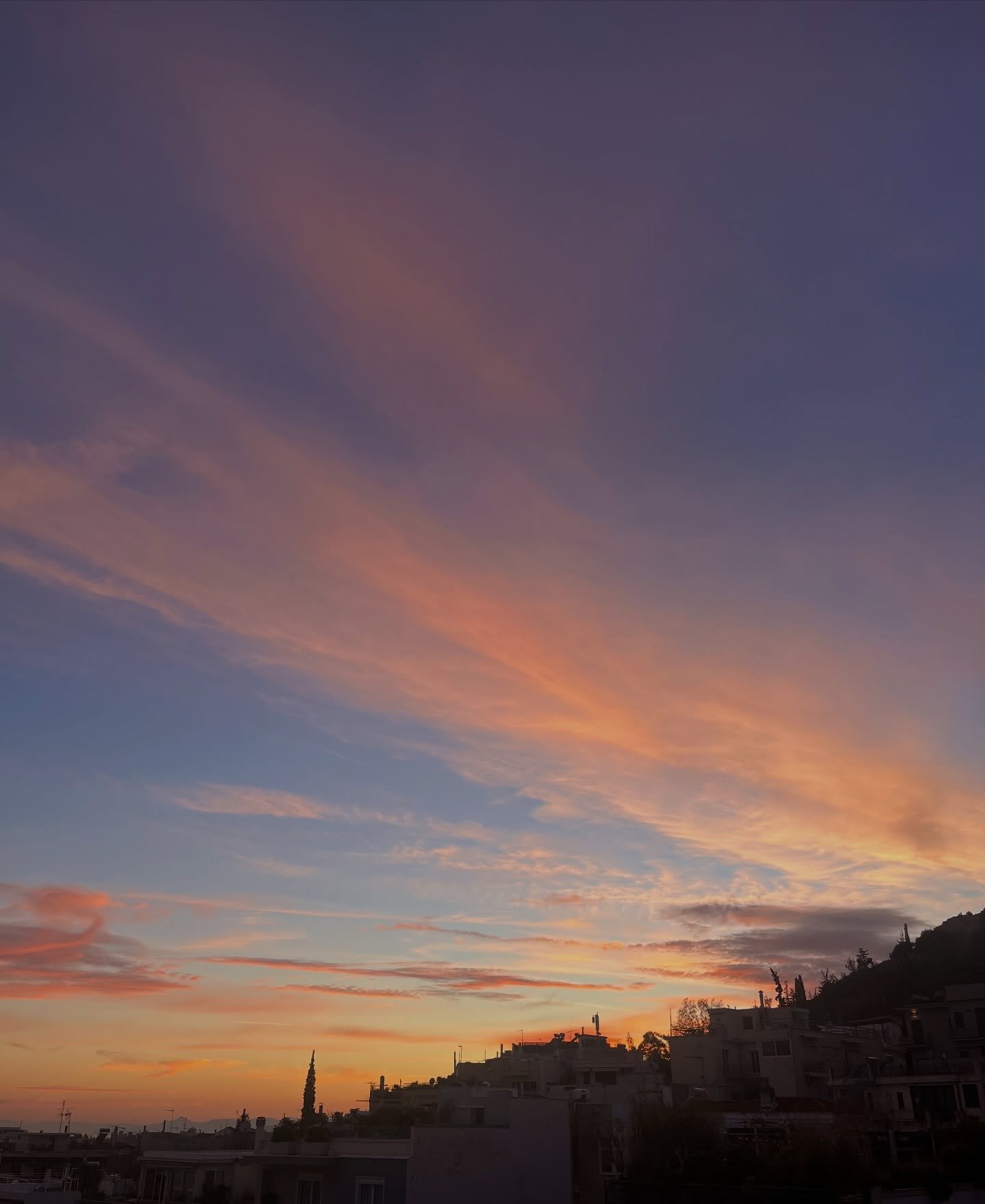 2025 was the year of inner liberation that unavoidably spilled out onto a freer life as well. It was the year where my heart burst open ever-more widely, to the incredible force of love. The year where I finally allowed myself to unfold in all the wa