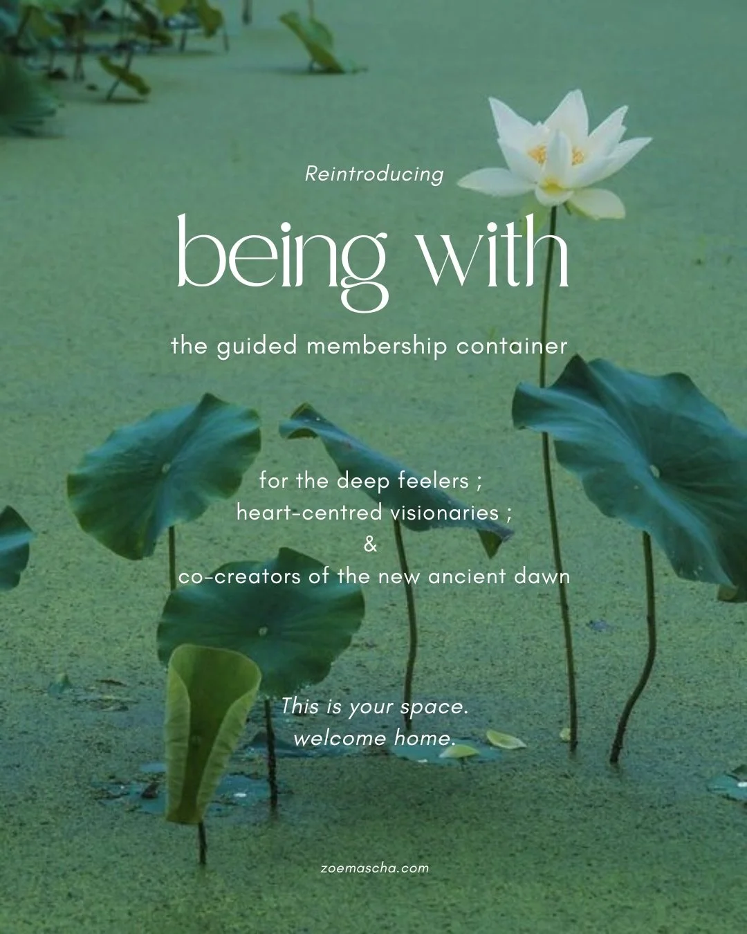 It&rsquo;s been 6 months of the being with membership! And it&lsquo;s time to reintroduce what it is all about. 
This is your heart-felt invitation to join me inside the community where we learn the art of presence, authentic connection and lean into