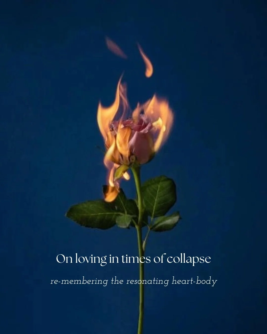 I do not mean Love here as an abstract ideal. I mean it most practically, the full feeling of the energy of Love that moves through us. The way we show up to ourselves and each other. The way we keep our hearts open even admits the stinging medicine 