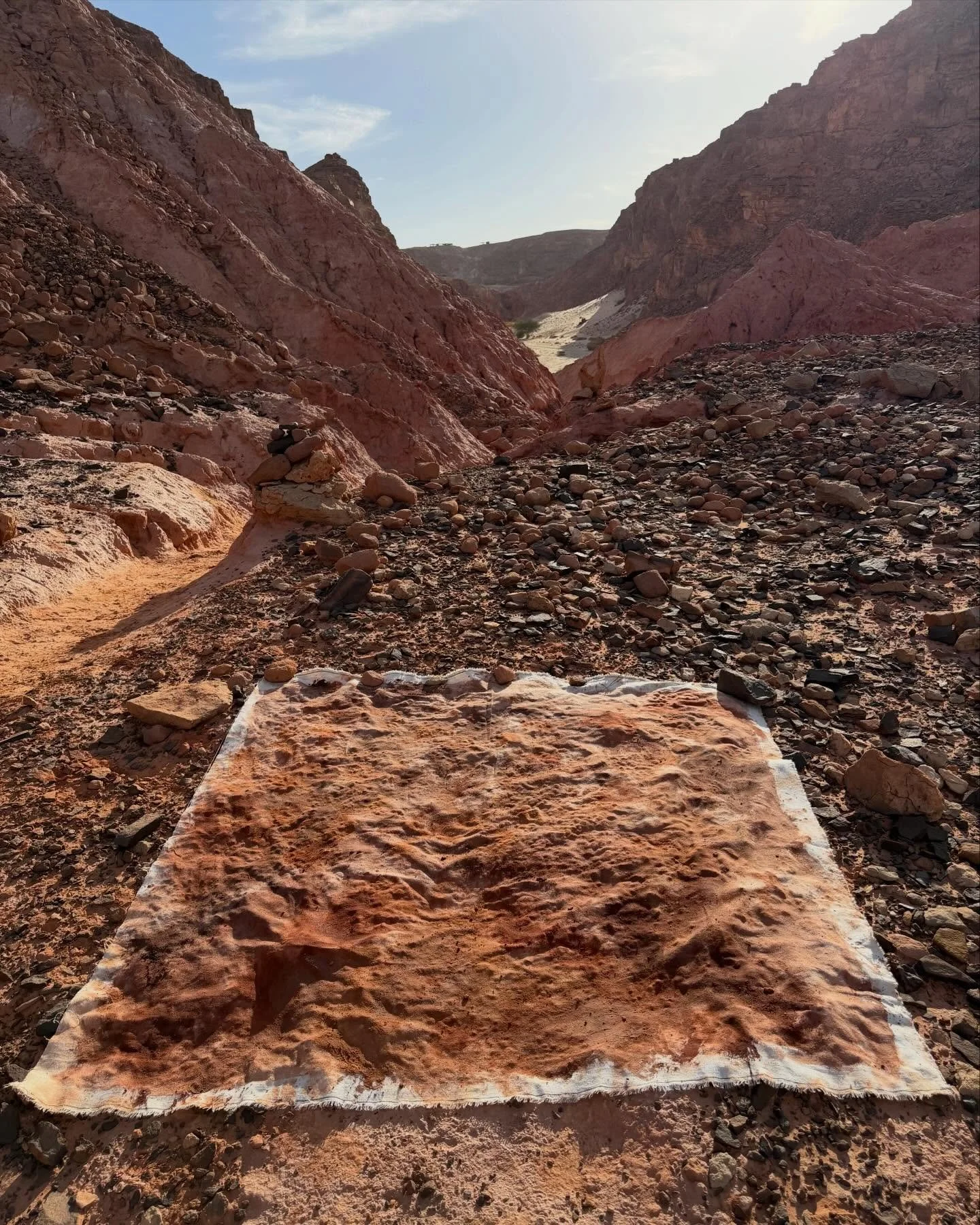 Painting in the desert 🐪✨

A couple of weeks ago, I had the chance to go on an unforgettable hike with a friend from Tarabeen, a Bedouin tribe of South Sinai. The Bedouins are true masters of the desert, carrying generations of knowledge about the l
