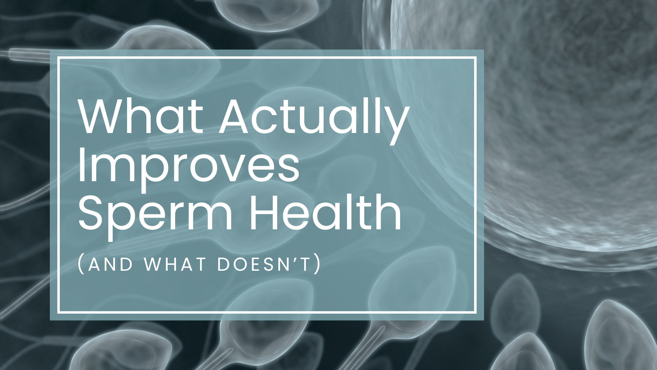 What Actually Improves Sperm Health (And What Doesn’t): A Fertility Dietitian’s No-Nonsense Guide