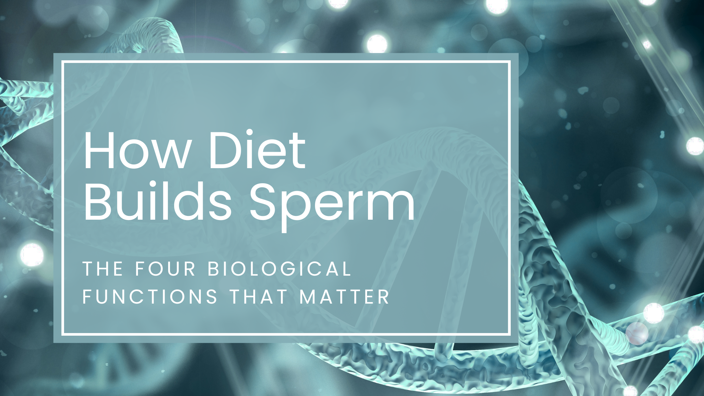 How Diet Affects Sperm Health: The 4 Key Functions That Matter