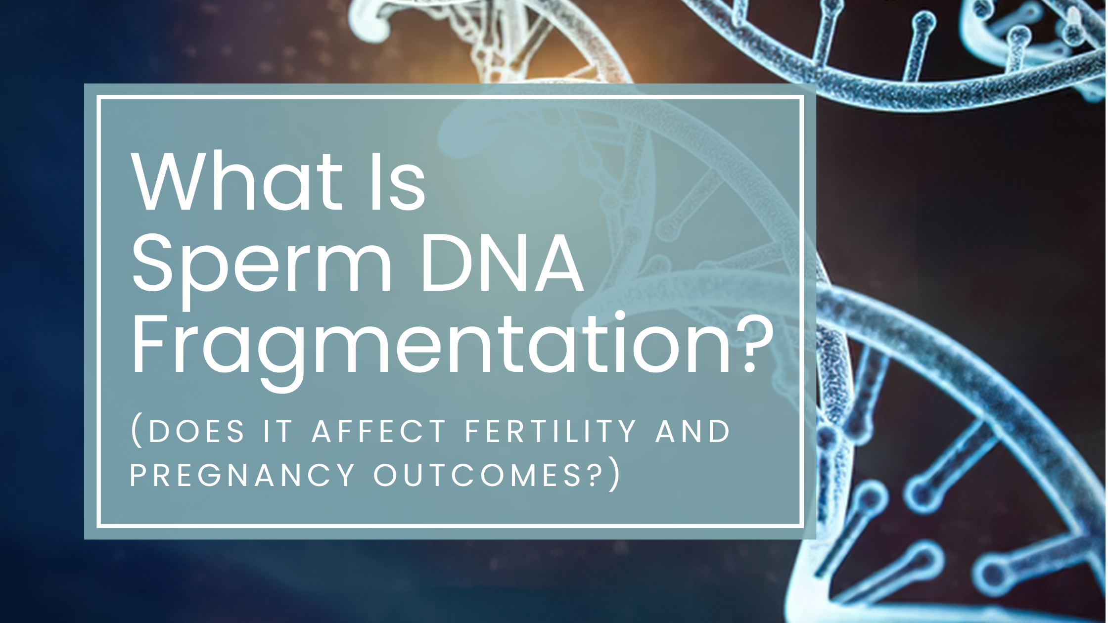 What Is Sperm DNA Fragmentation? Does It Affect Fertility and Pregnancy Outcomes?